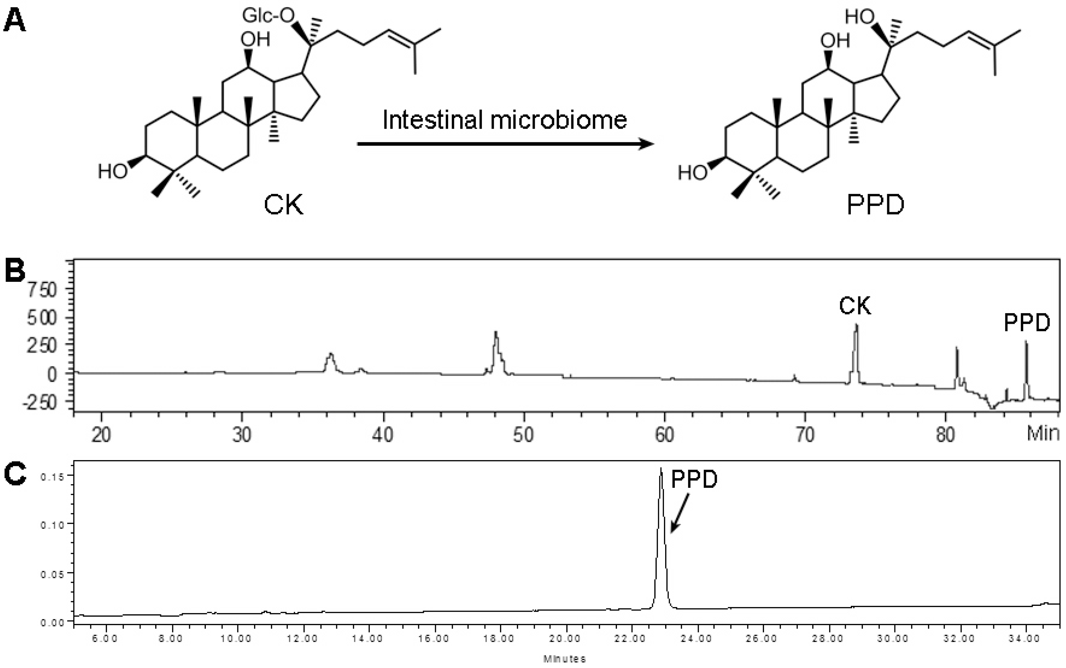 Nutrients 07 00799 g001