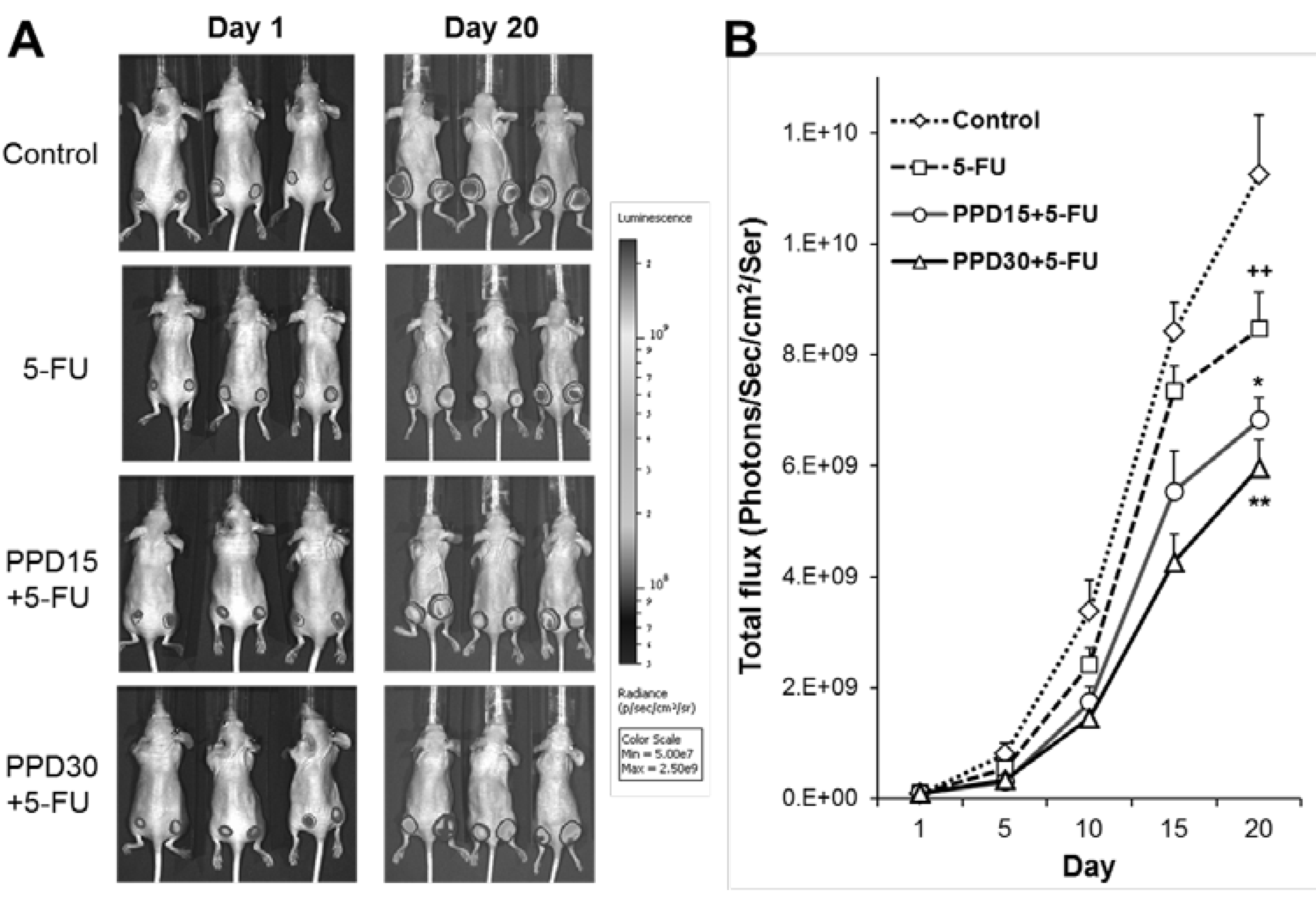 Nutrients 07 00799 g005