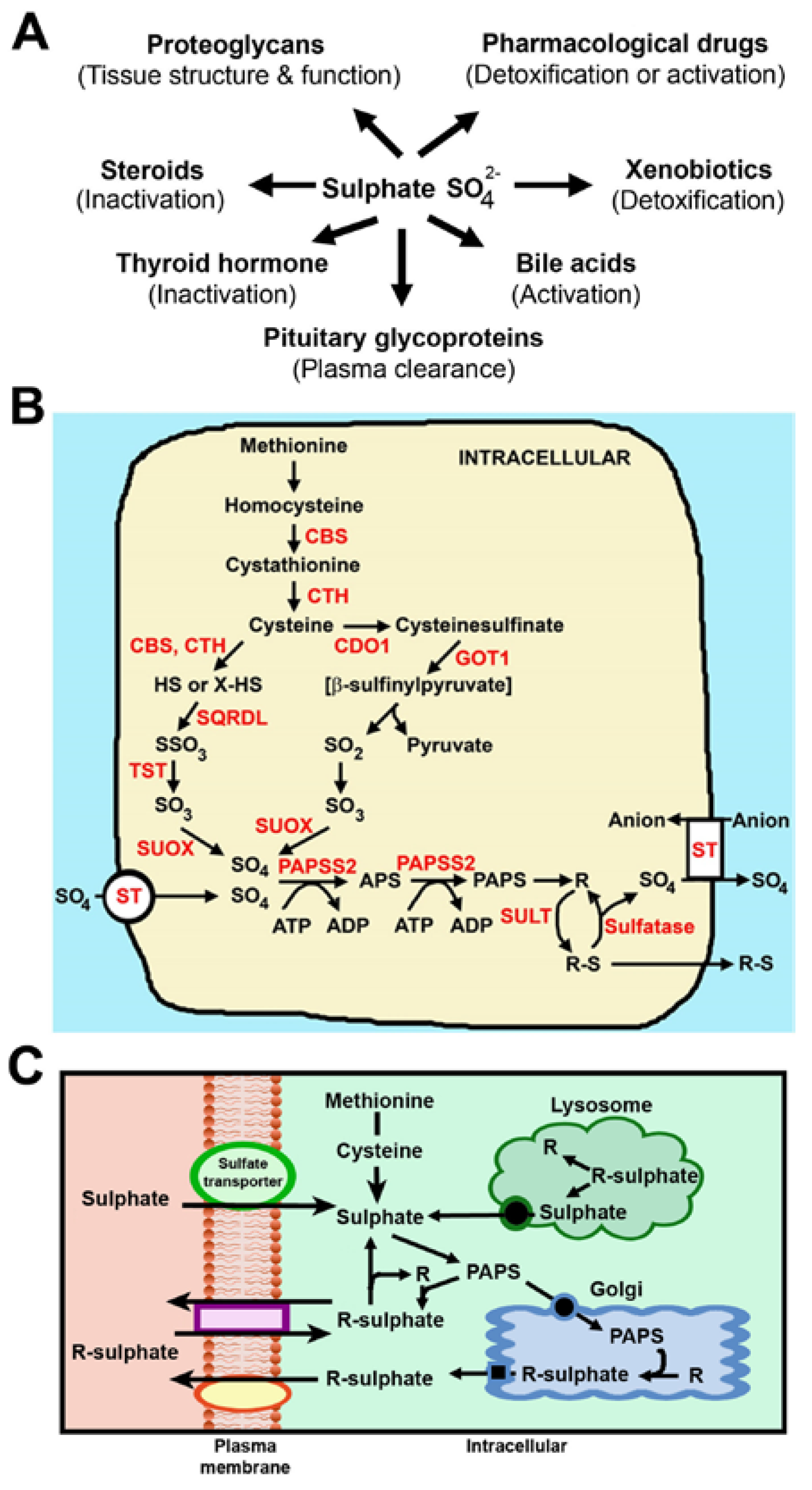 Nutrients 07 01594 g001