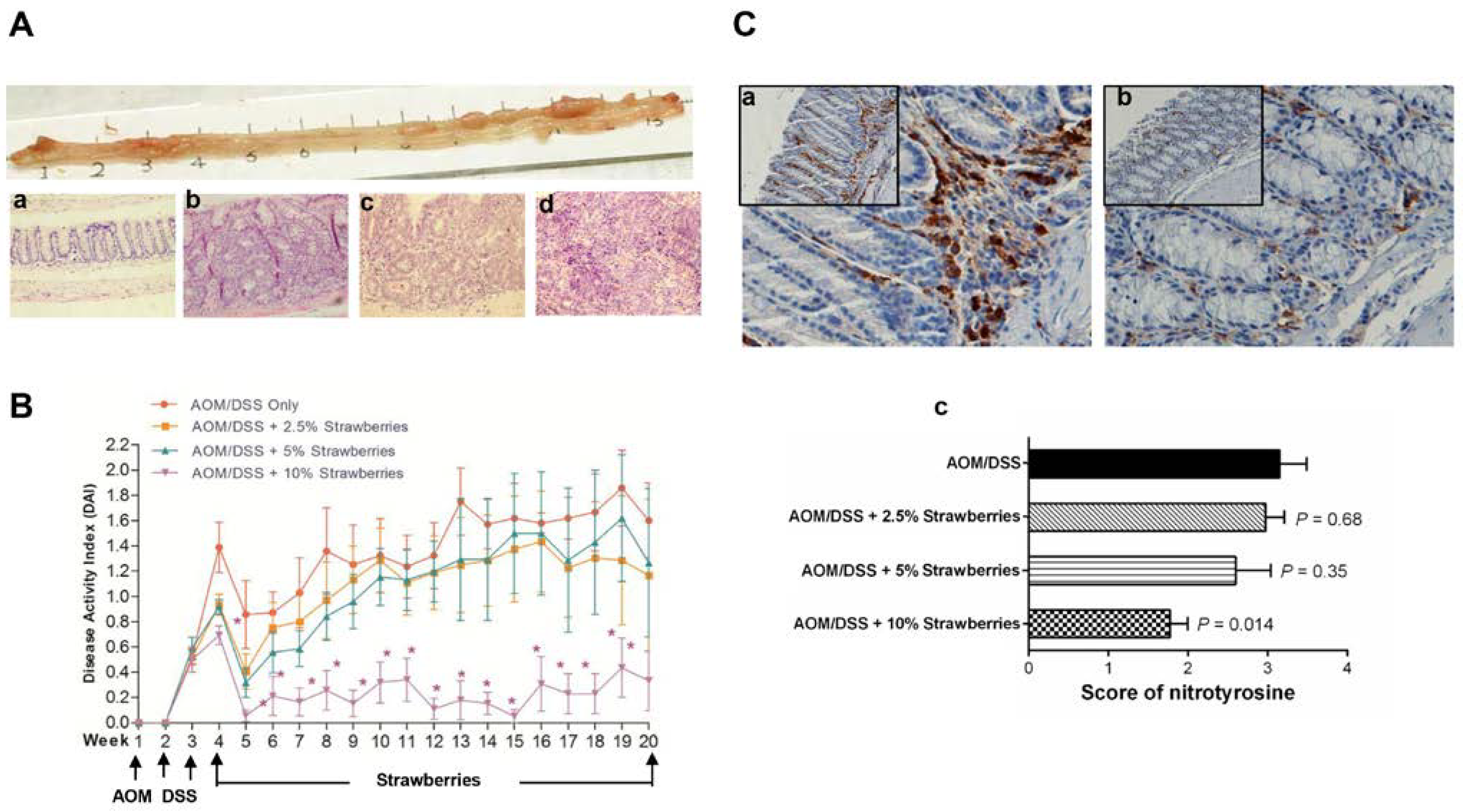 Nutrients 07 01696 g002