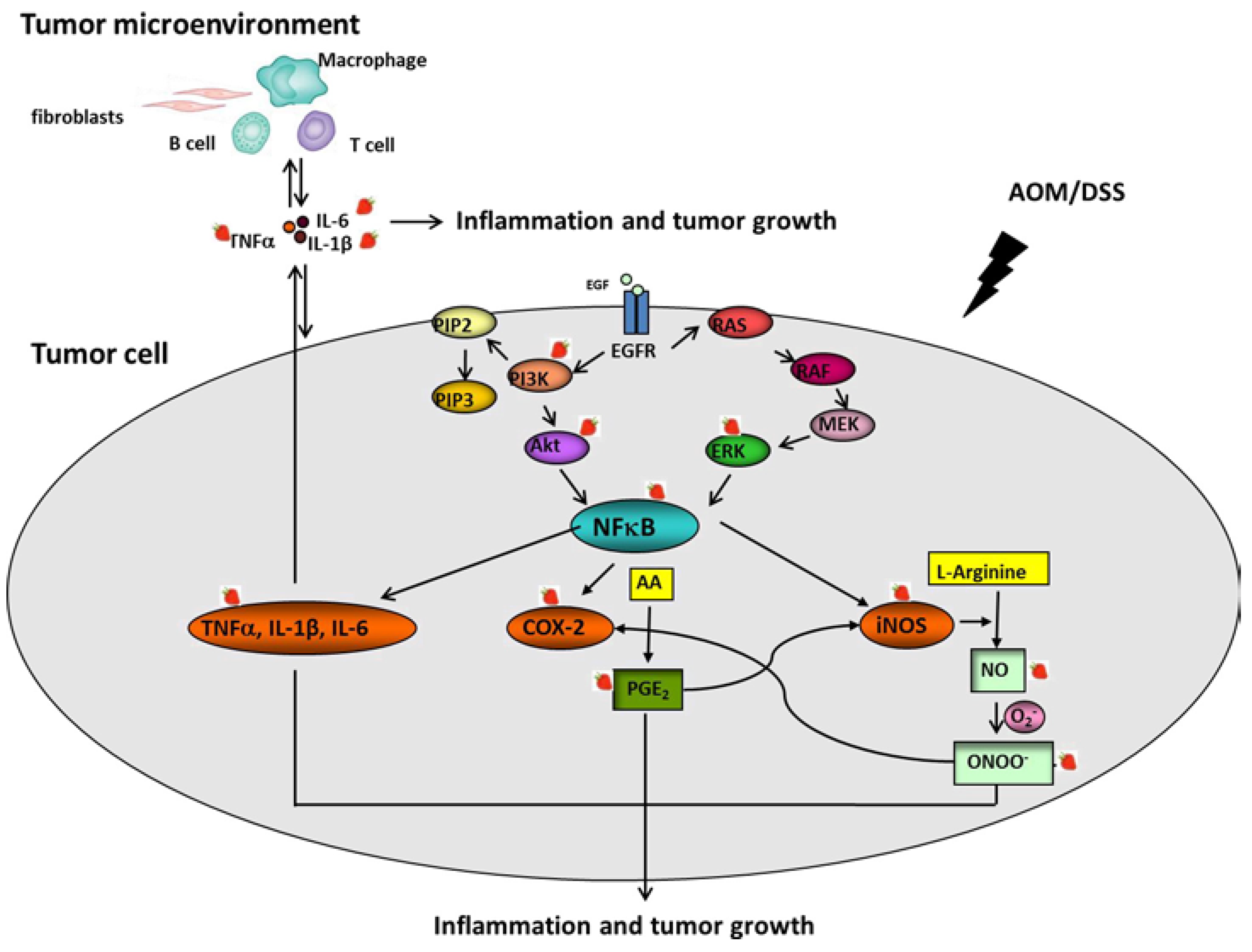 Nutrients 07 01696 g004