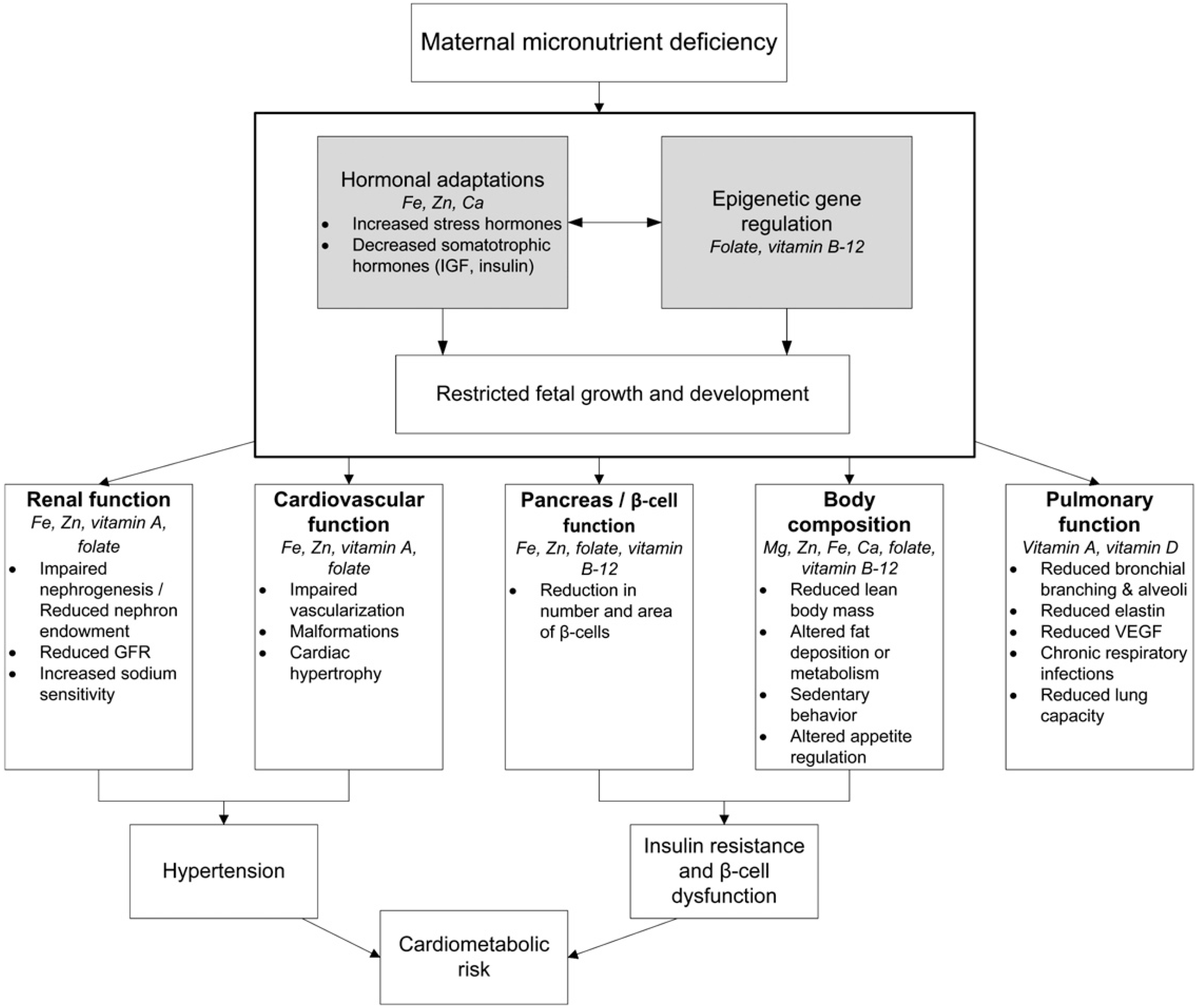 Nutrients Free Full Text Micronutrients In Pregnancy In