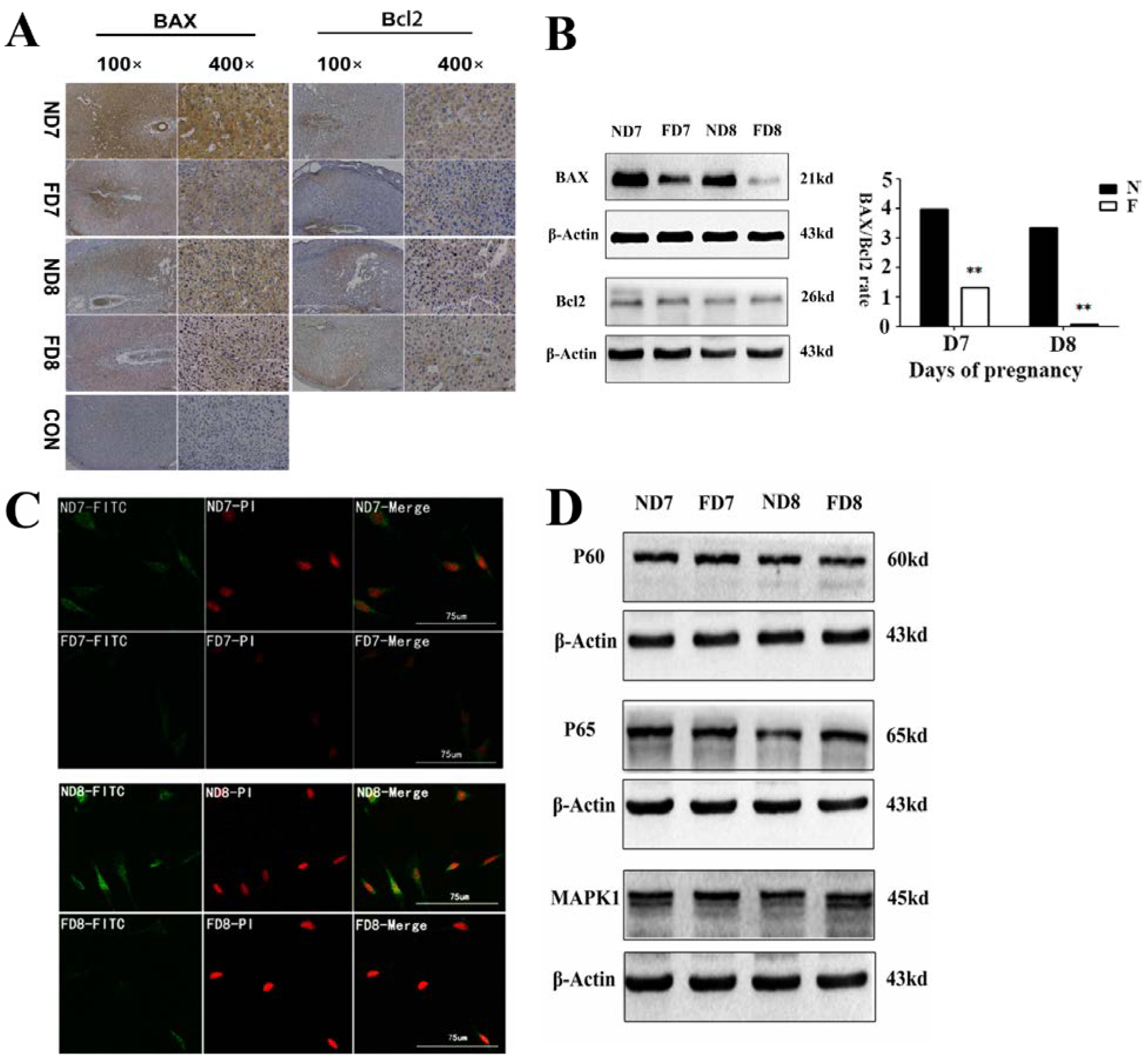 Nutrients 07 01916 g003 1024