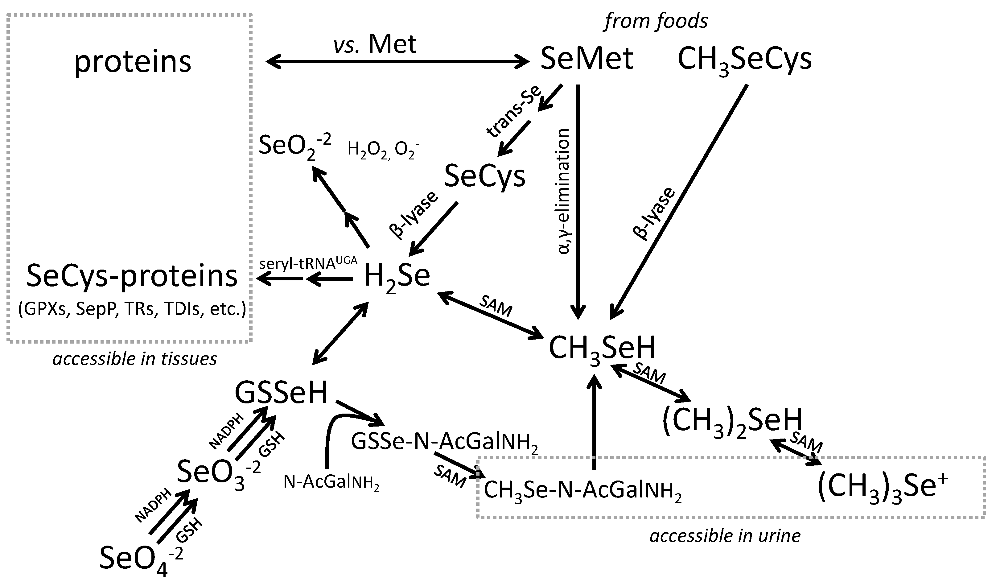 Nutrients 07 02209 g002