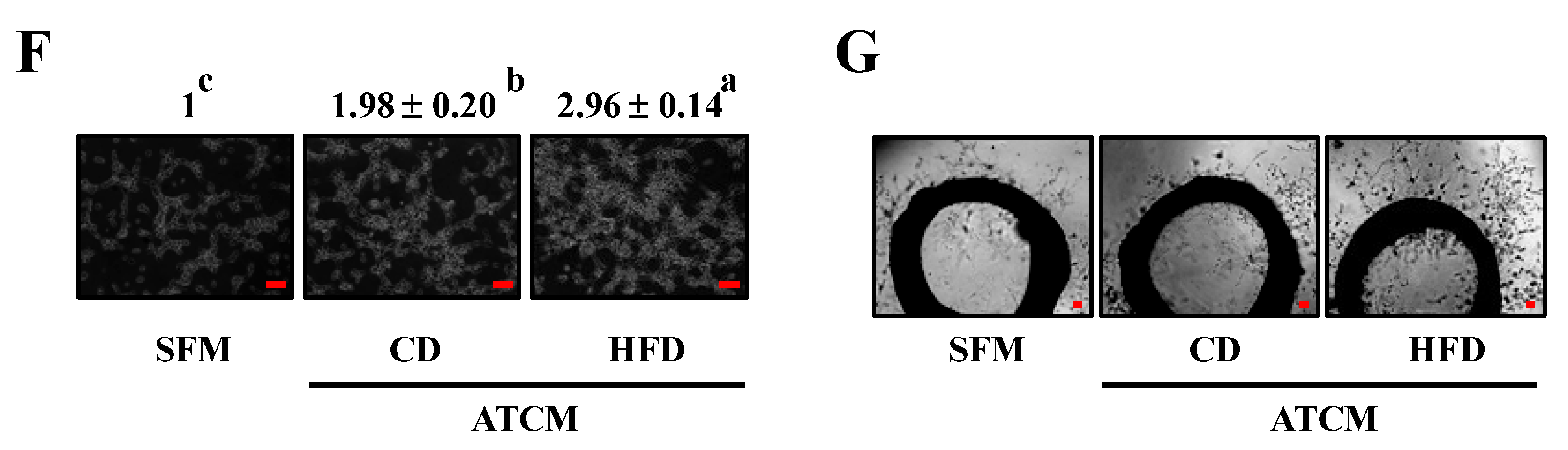 Nutrients 07 02539 g006b