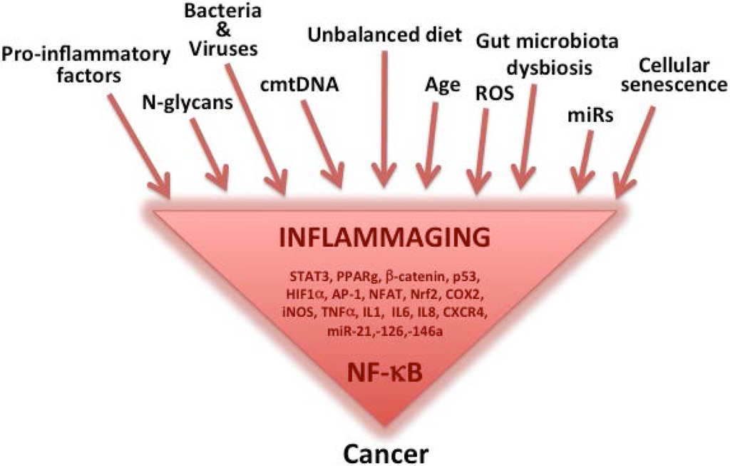 Nutrients, Free Full-Text