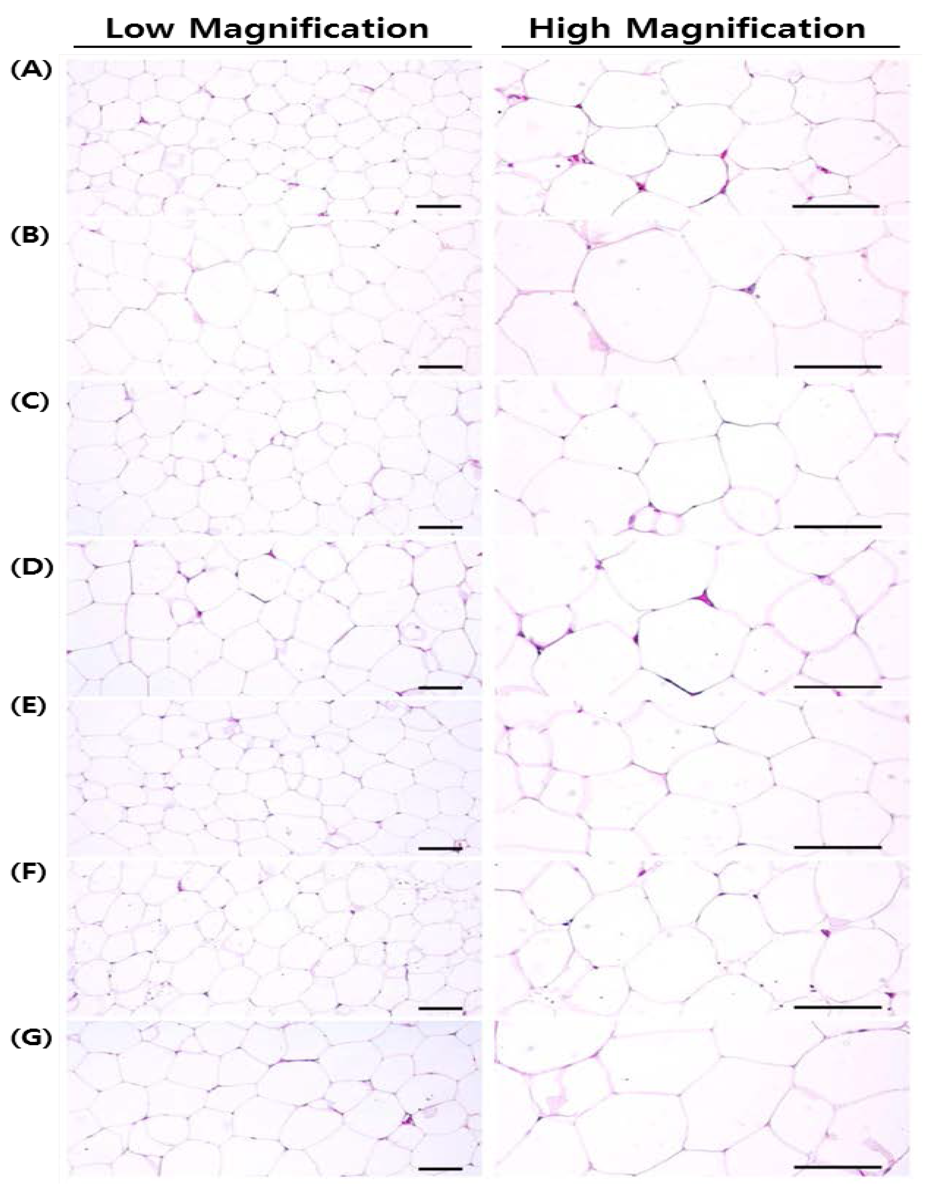 Nutrients 07 02622 g007