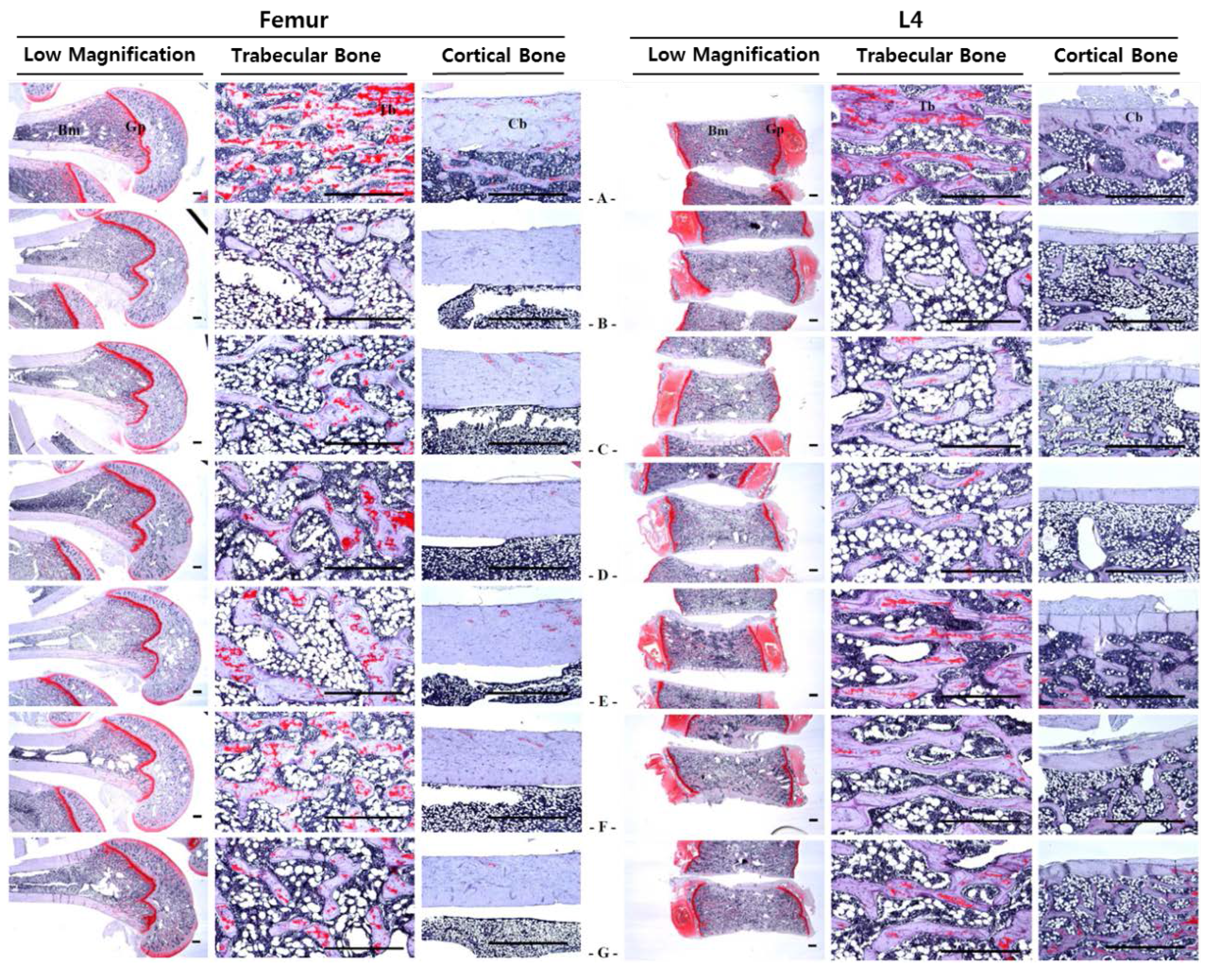 Nutrients 07 02622 g008