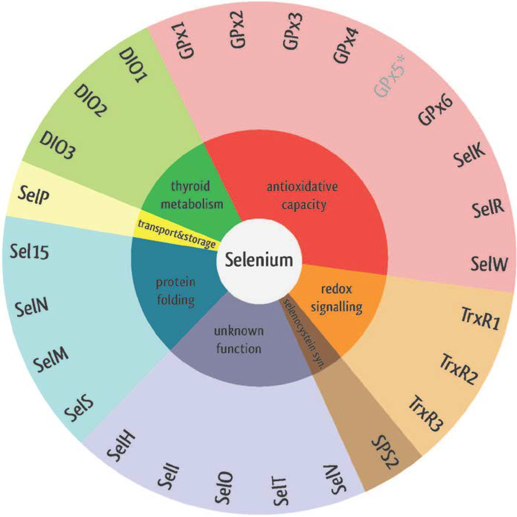 Nutrients 07 03094 g002 1024