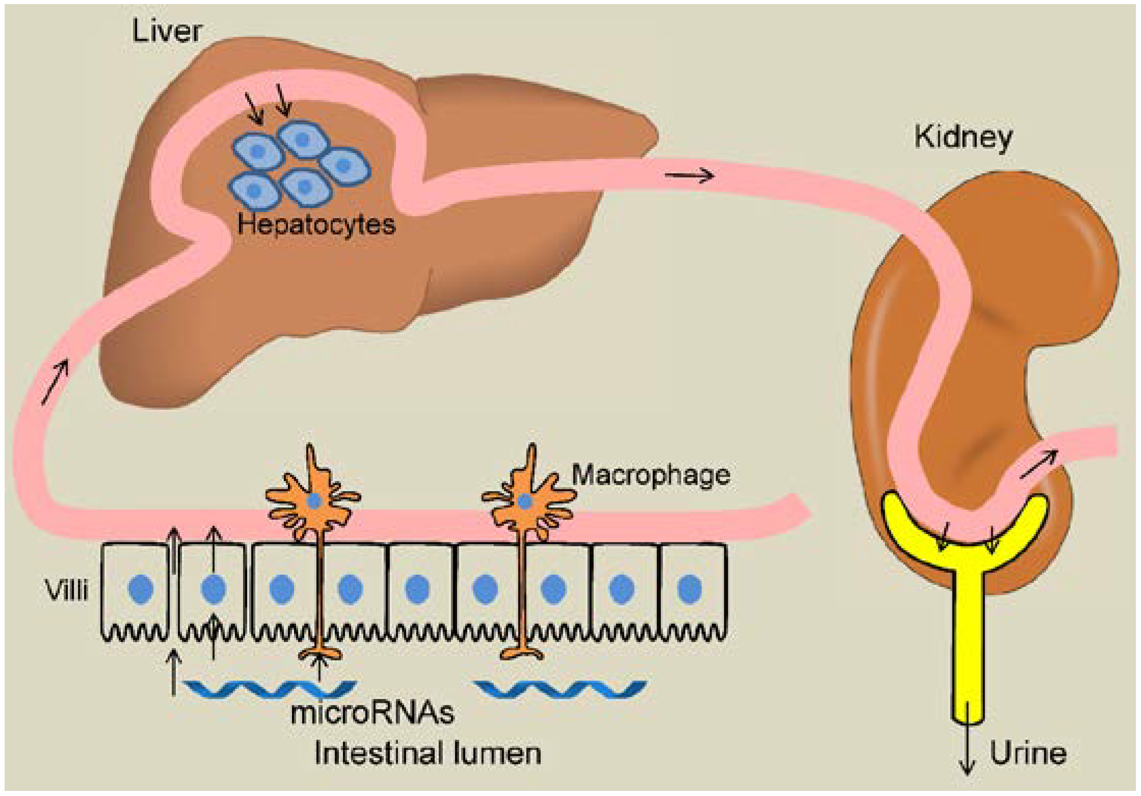 Nutrients 07 03184 g001