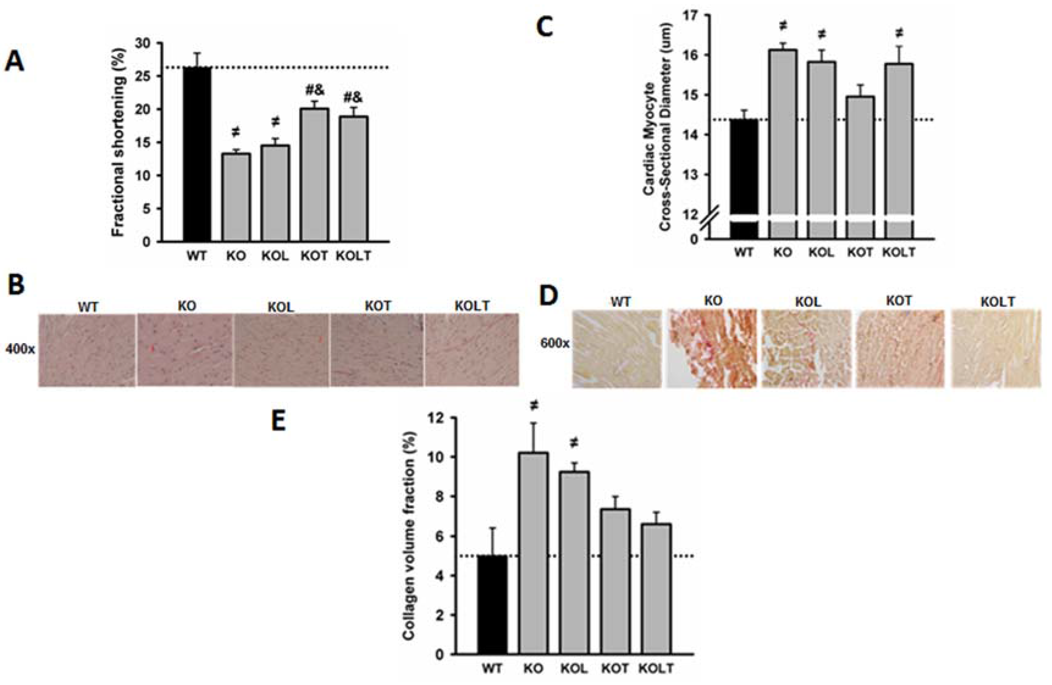 Nutrients 07 03751 g002