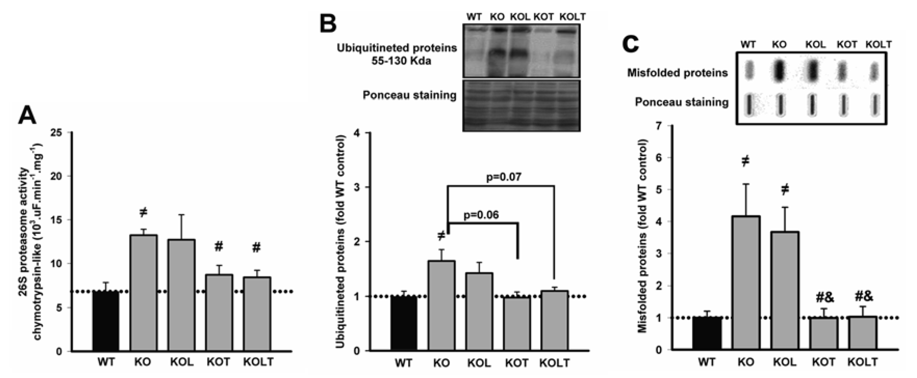 Nutrients 07 03751 g003