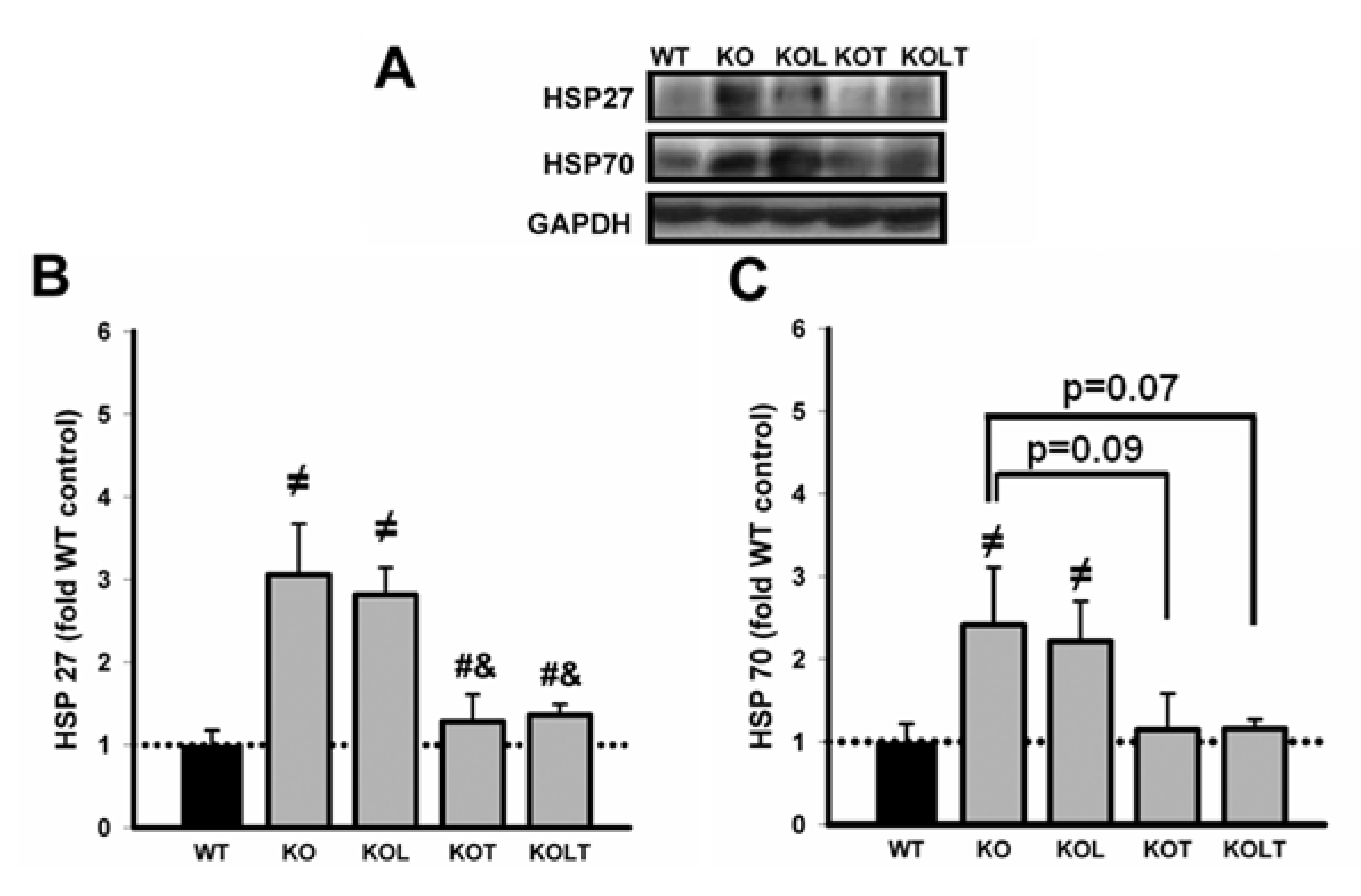 Nutrients 07 03751 g004