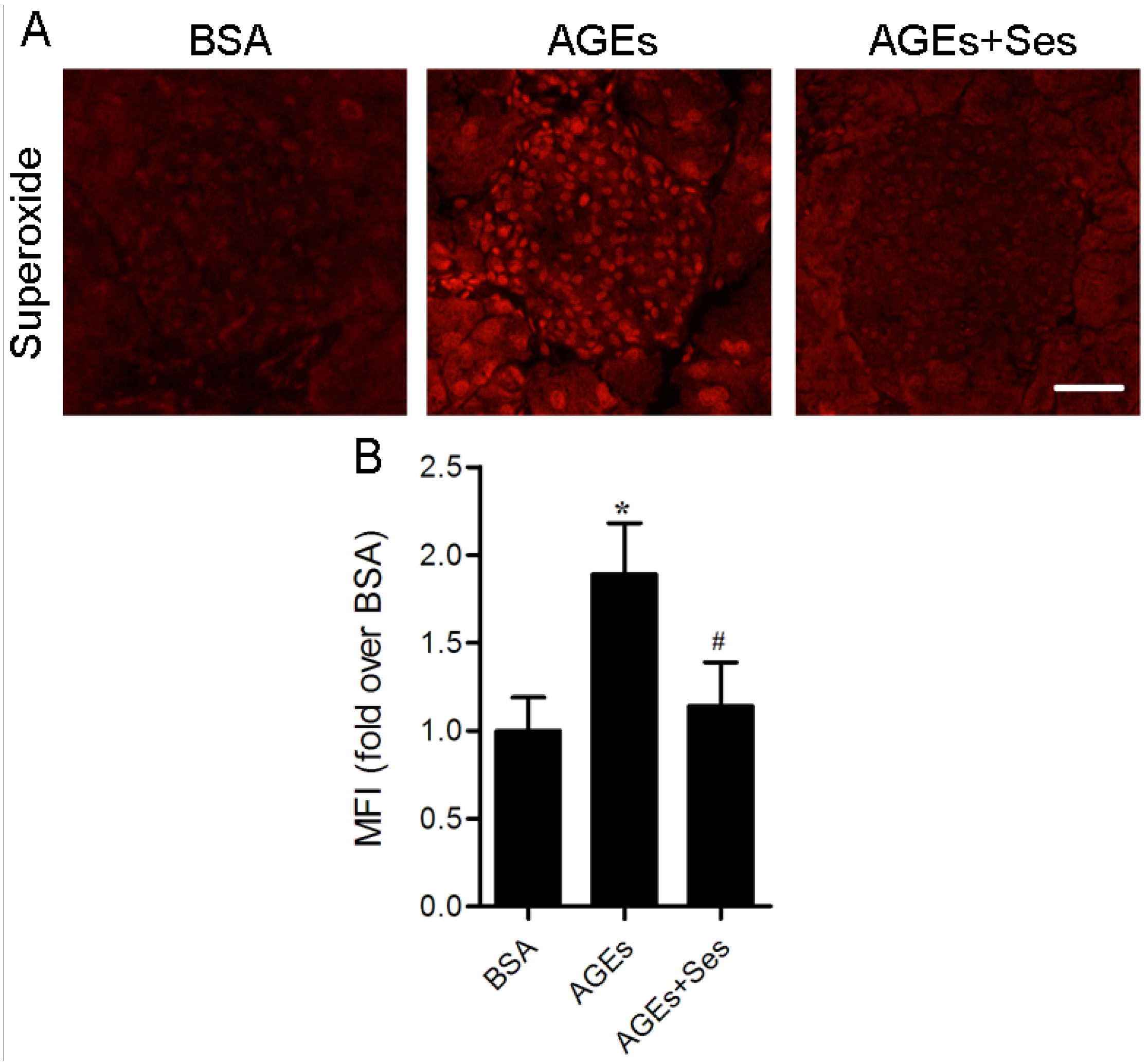 Nutrients 07 04689 g004 1024