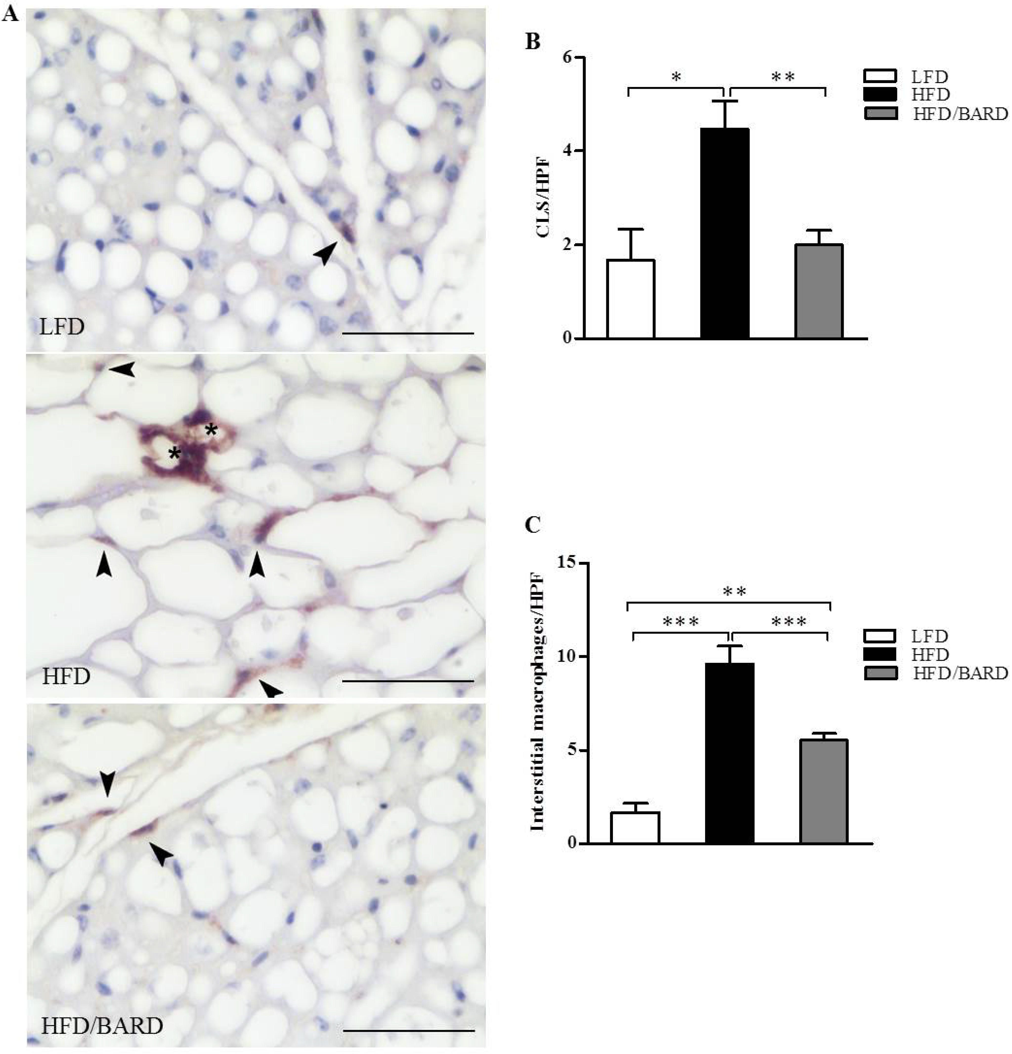 Nutrients 07 04705 g002 1024