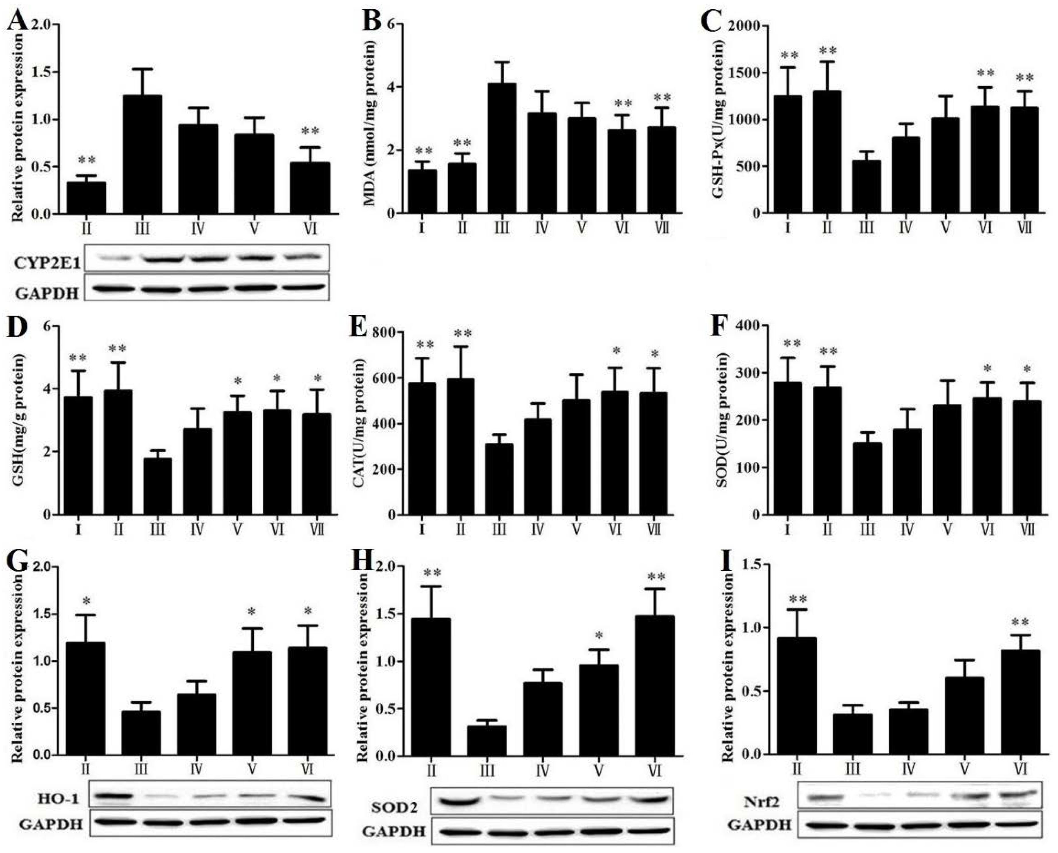 Nutrients 07 04829 g005 1024