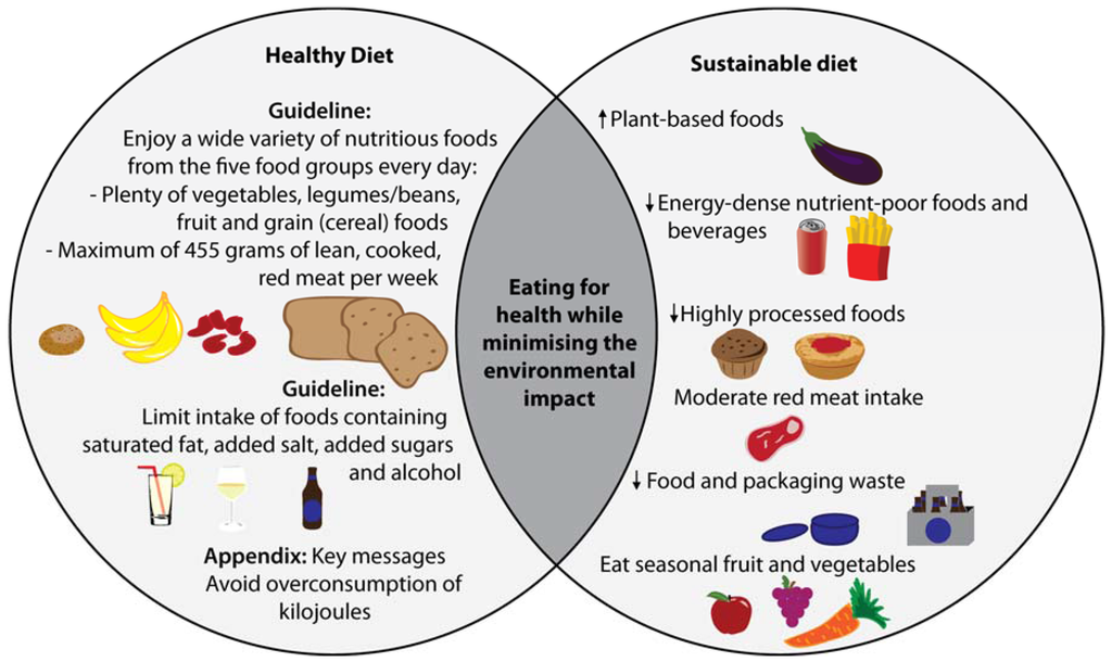 research about healthy food