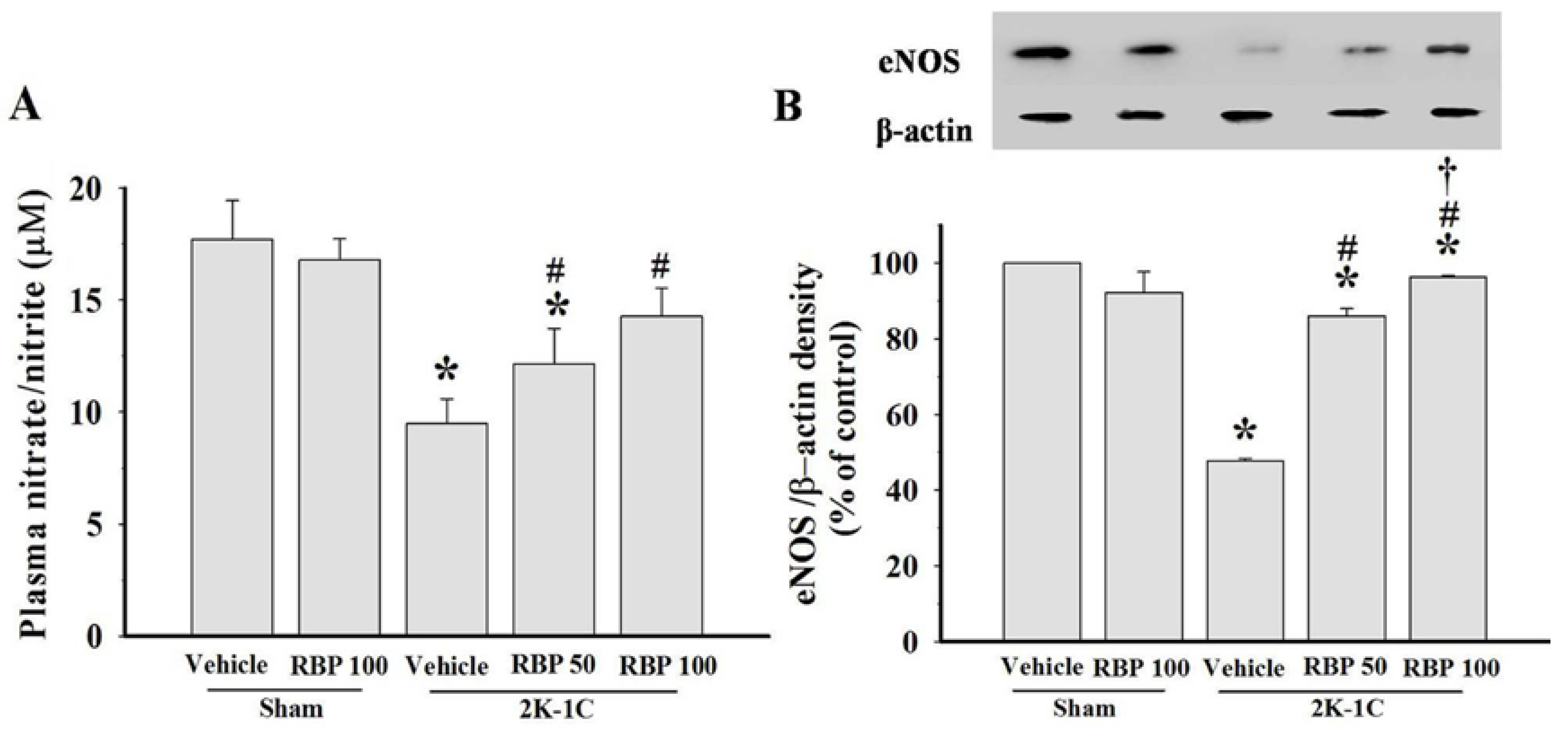 Nutrients 07 05252 g004