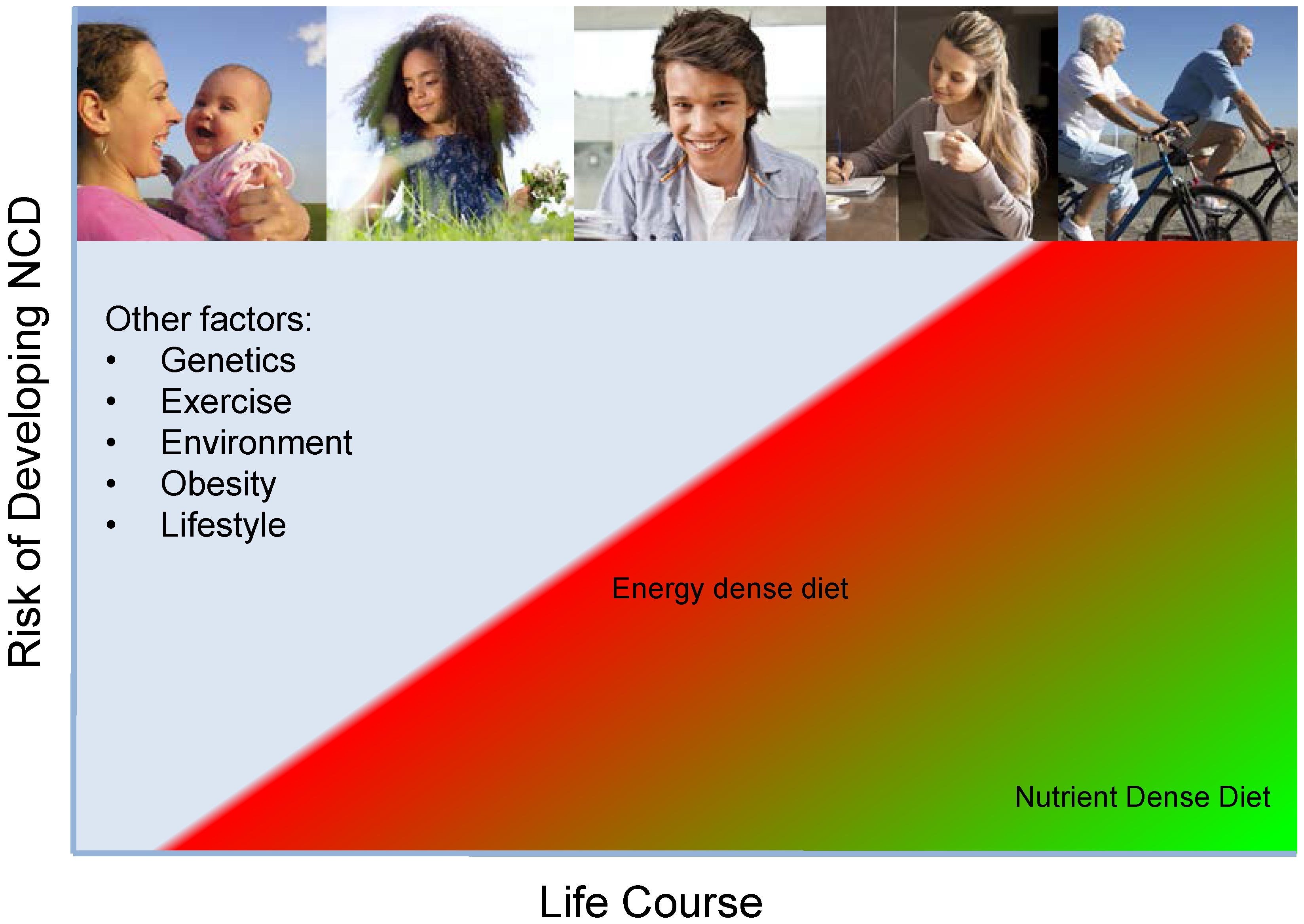 Nutrients 07 05266 g001
