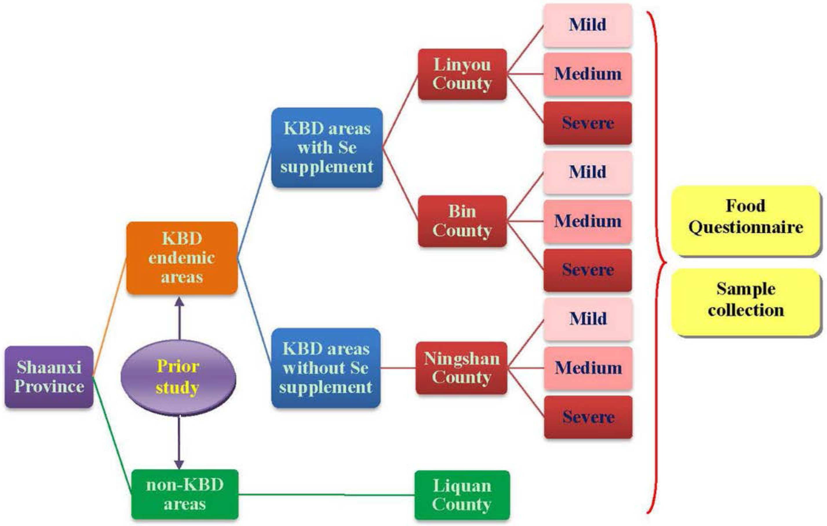 Nutrients 07 05276 g001