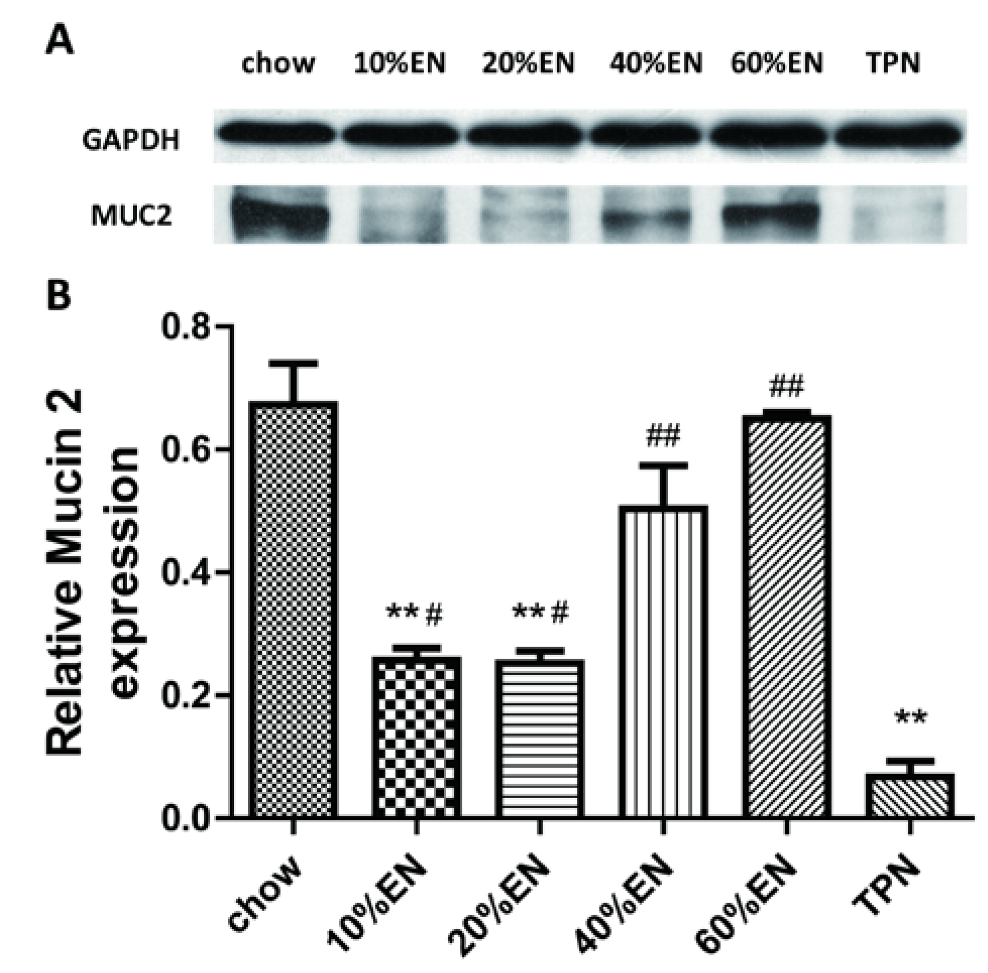 Nutrients 07 05288 g004 1024