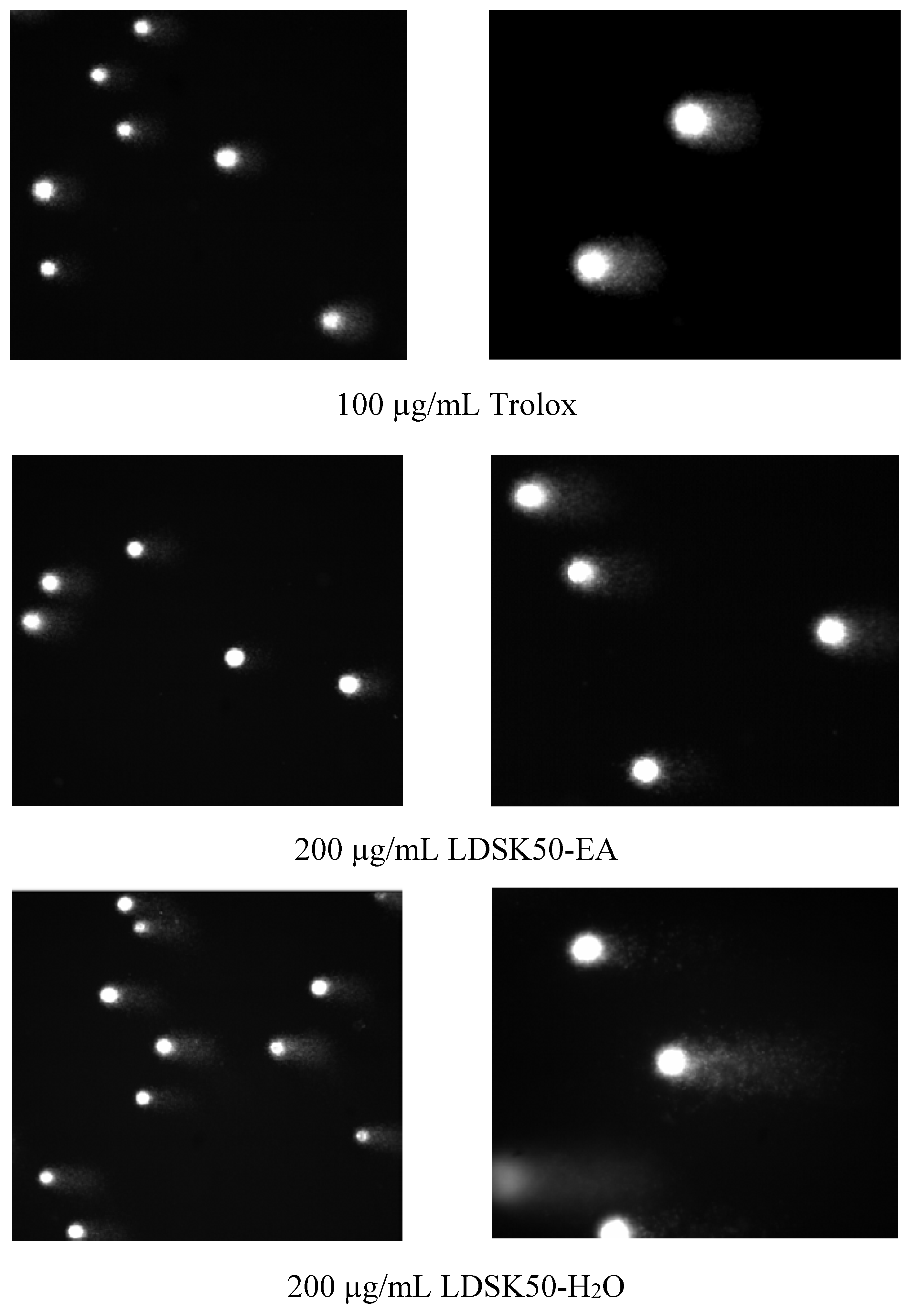 Nutrients 07 05312 g005b
