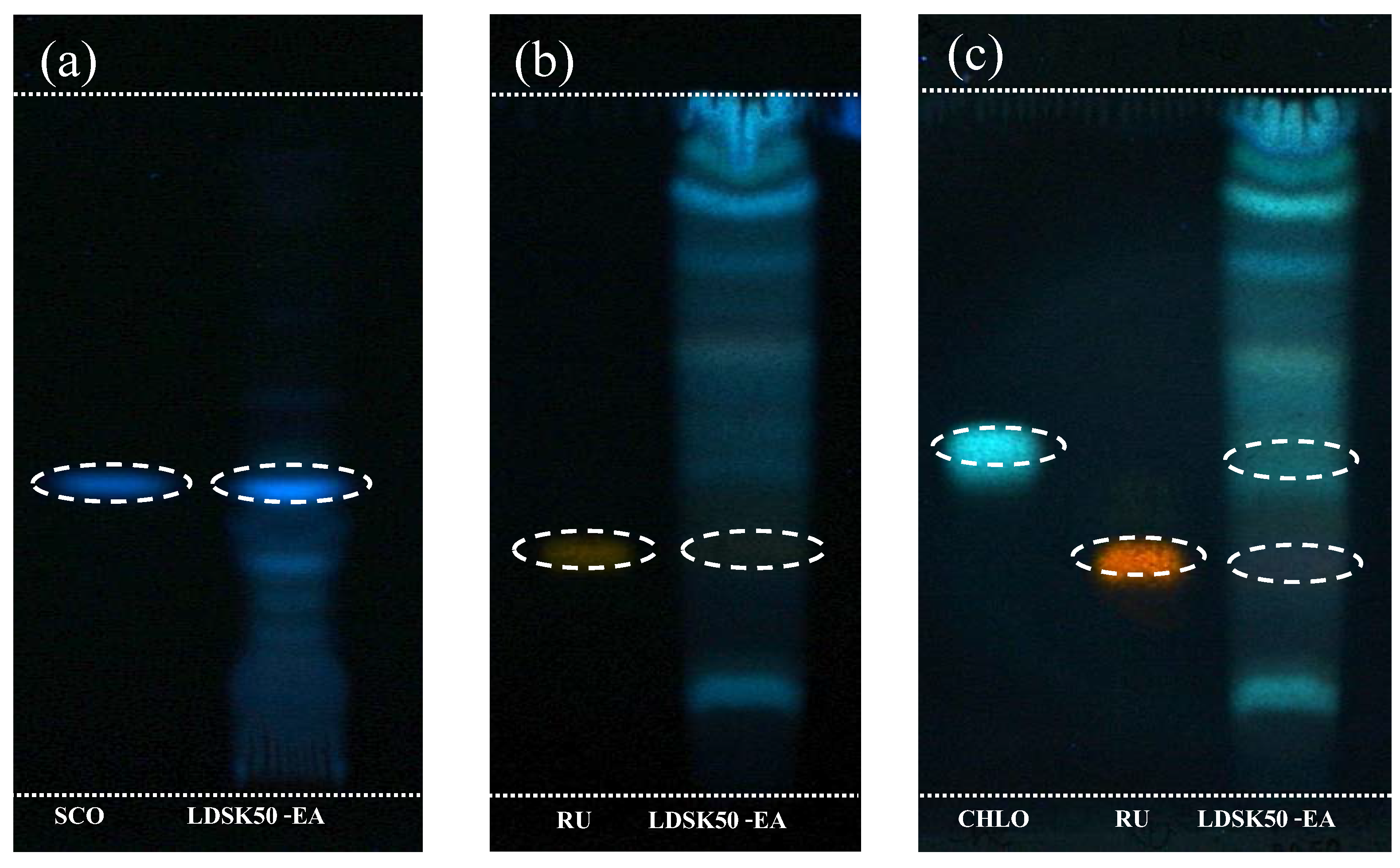 Nutrients 07 05312 g006