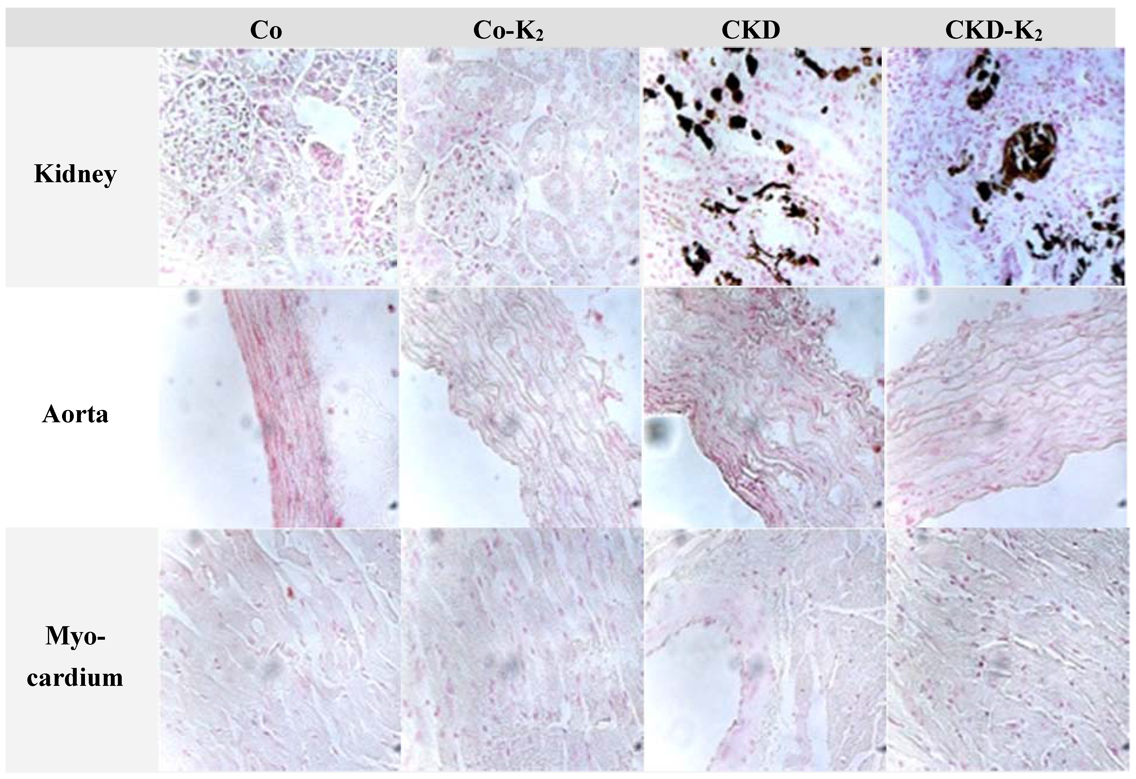 Nutrients 07 05318 g006