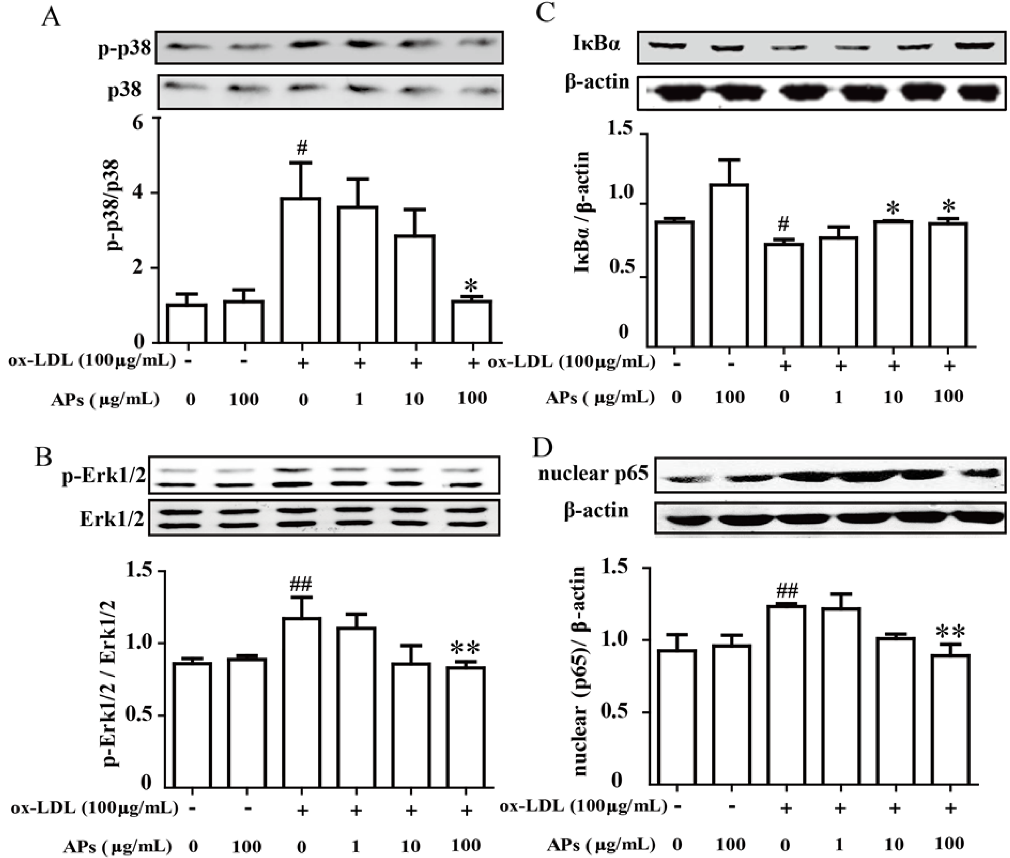 Nutrients 07 05324 g007