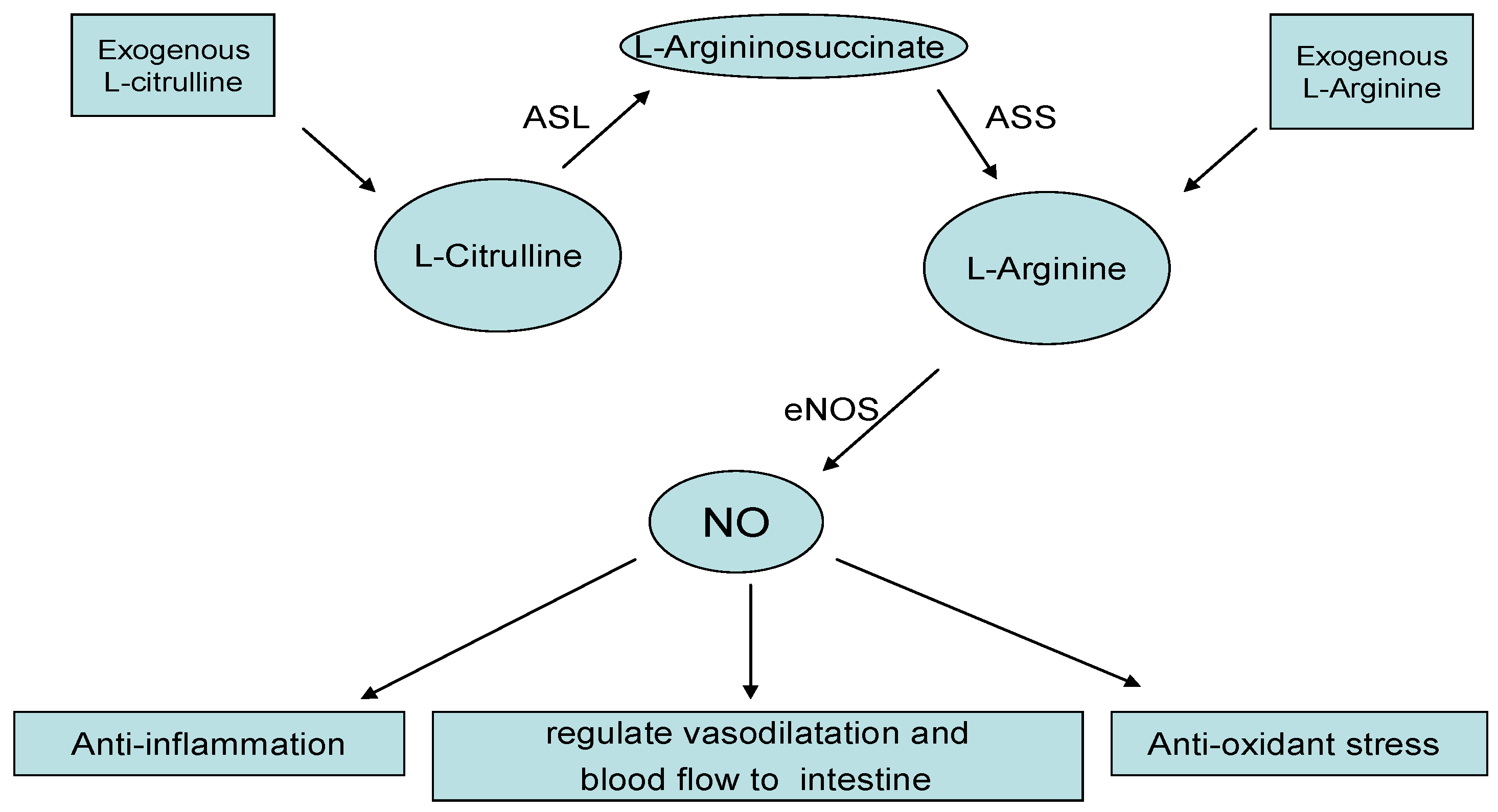 Nutrients 07 05334 g002
