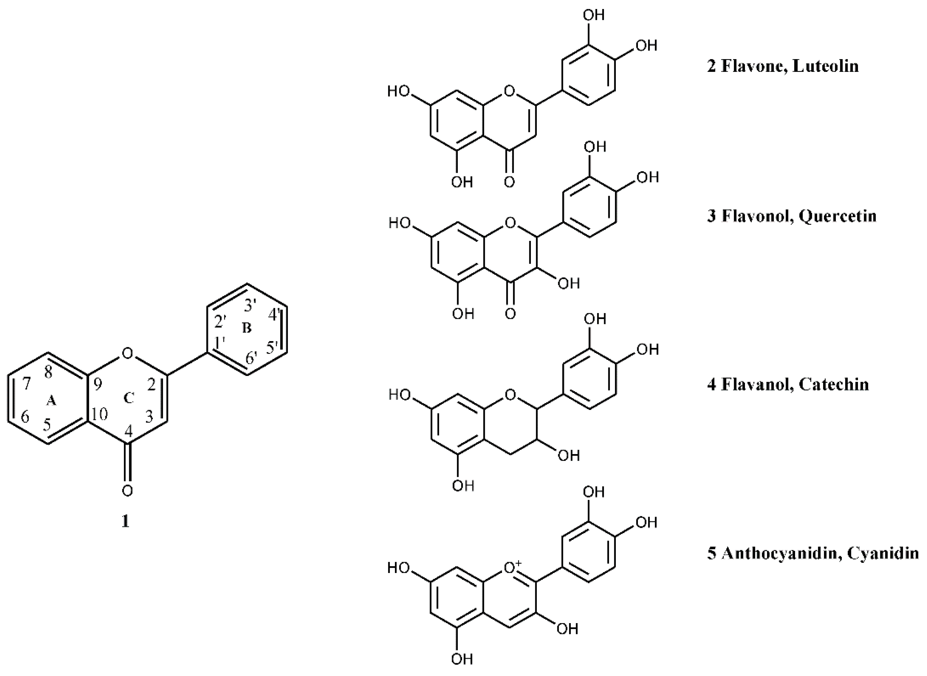 Nutrients 07 05361 g001