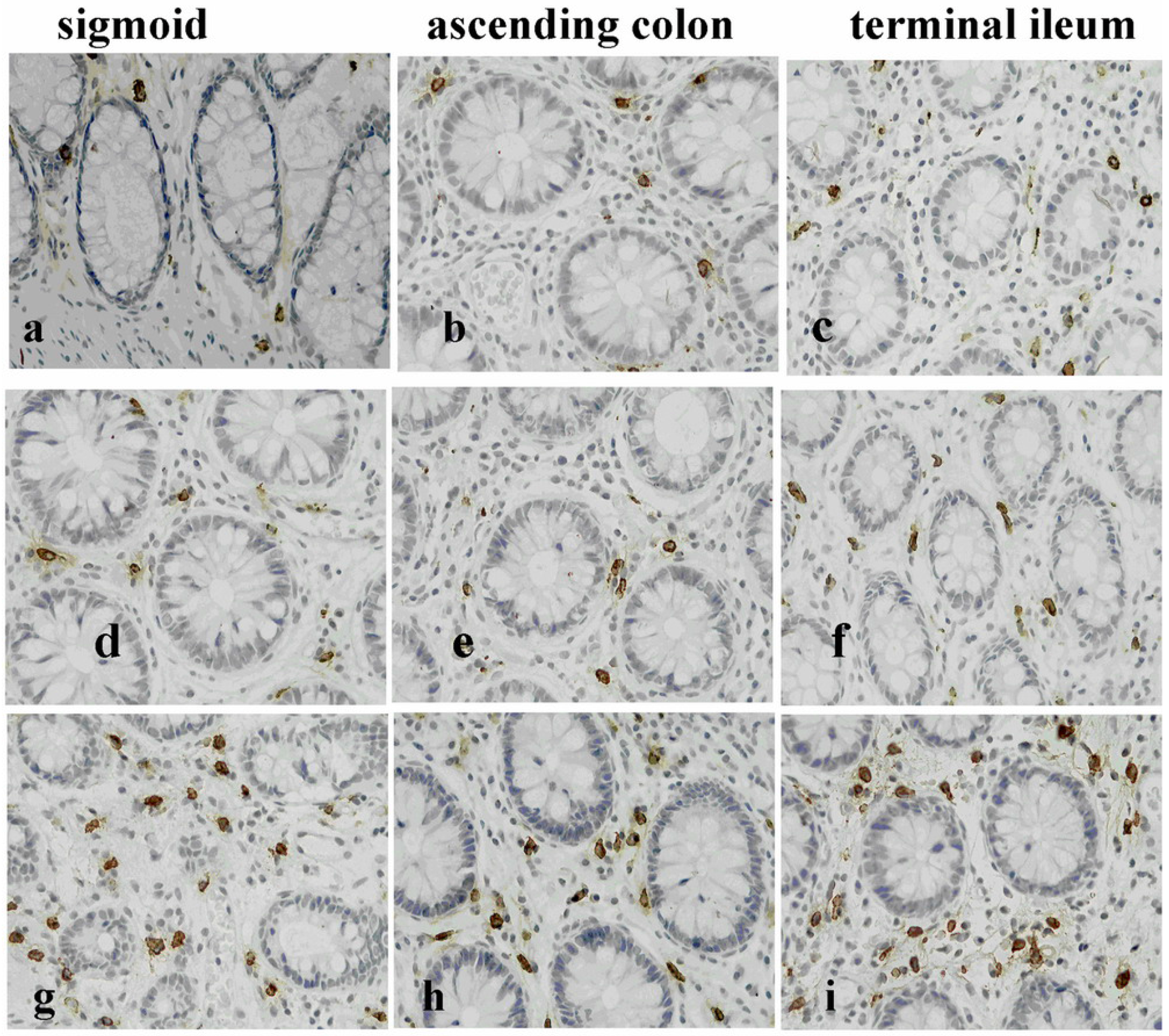 Nutrients 07 05380 g004
