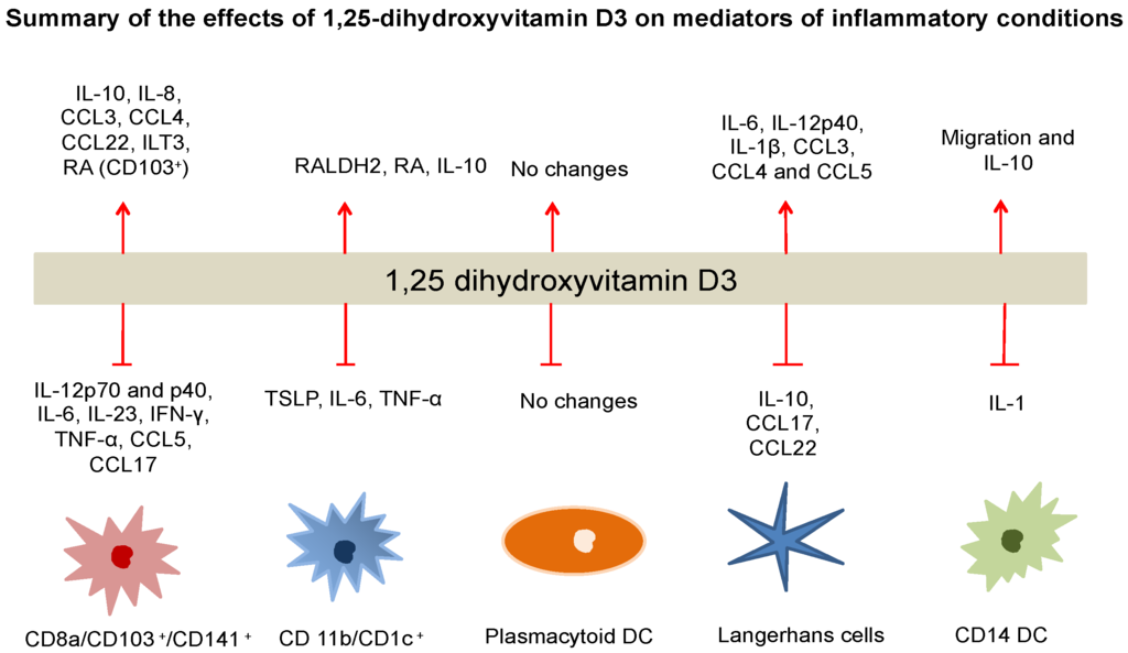 Nutrients Free Full Text Regulation Of Dendritic Cell Function By Vitamin D Html