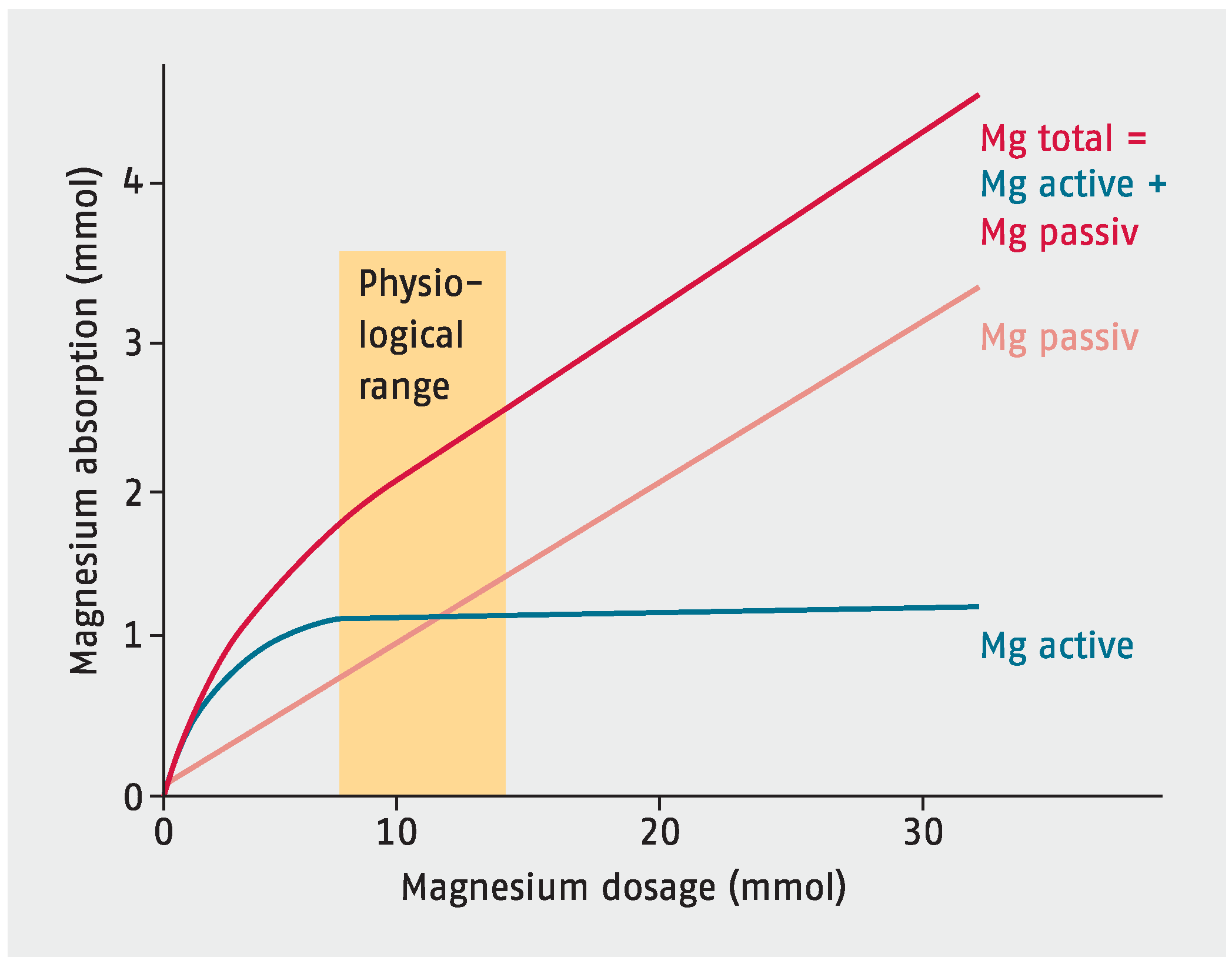 best form of magnesium forneuropathy