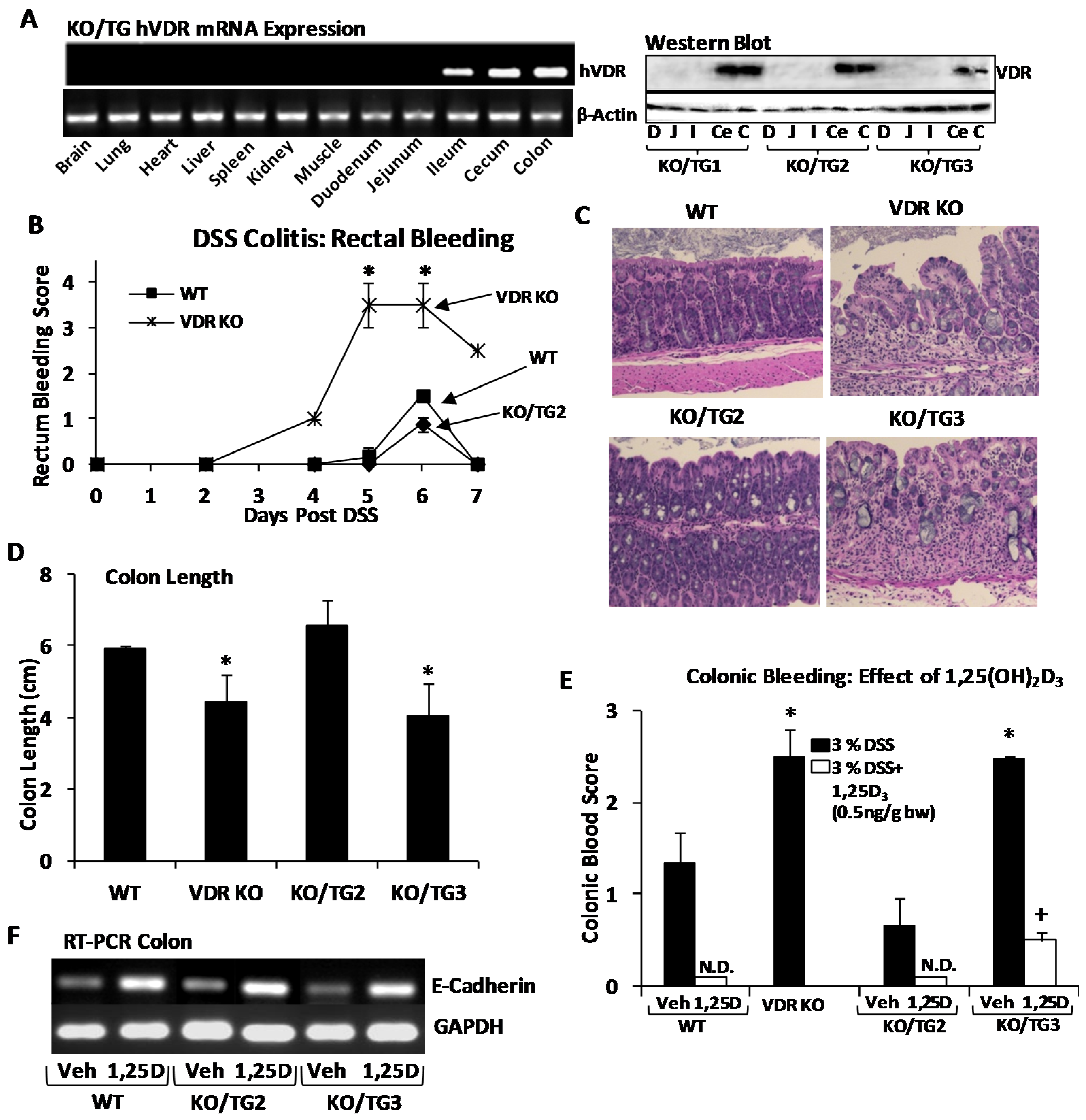 Nutrients 07 05392 g002
