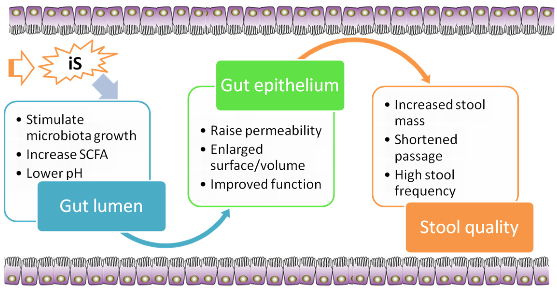Nutrients 07 05397 g001