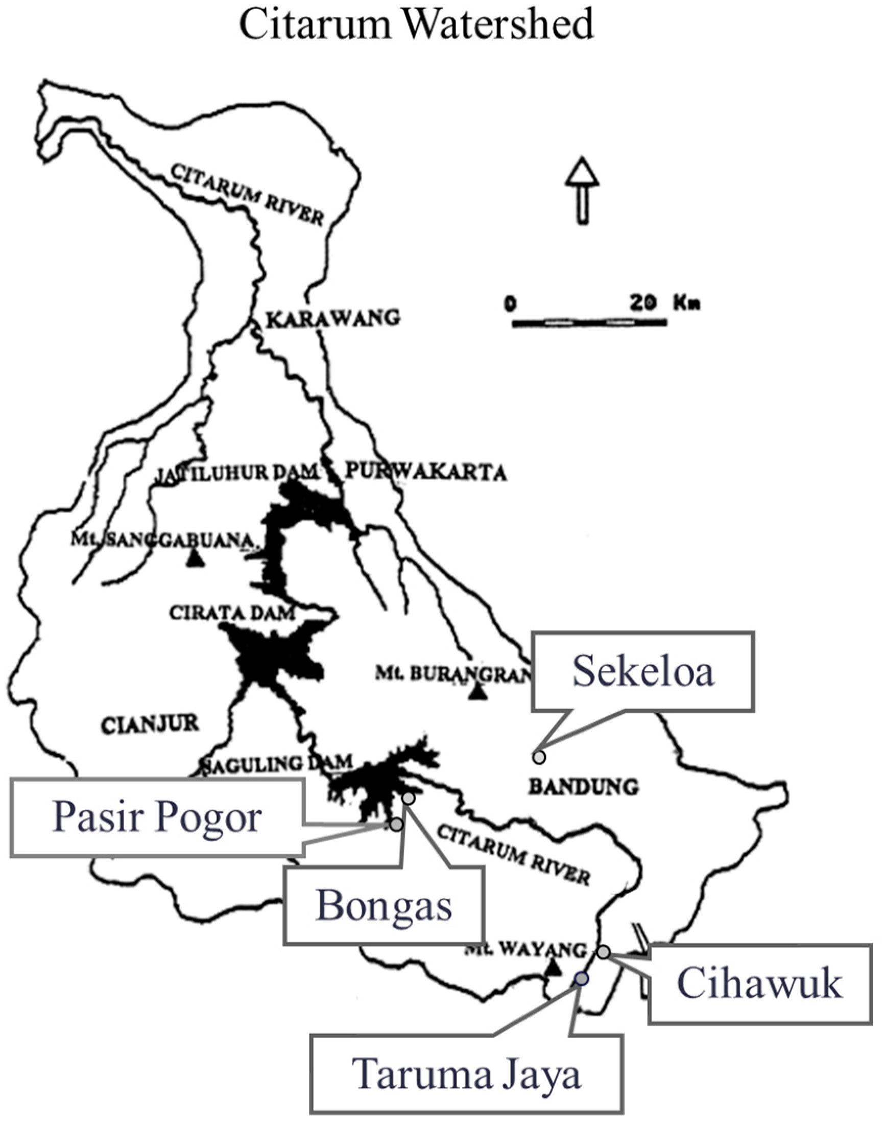 Nutrients 07 05399 g001 1024