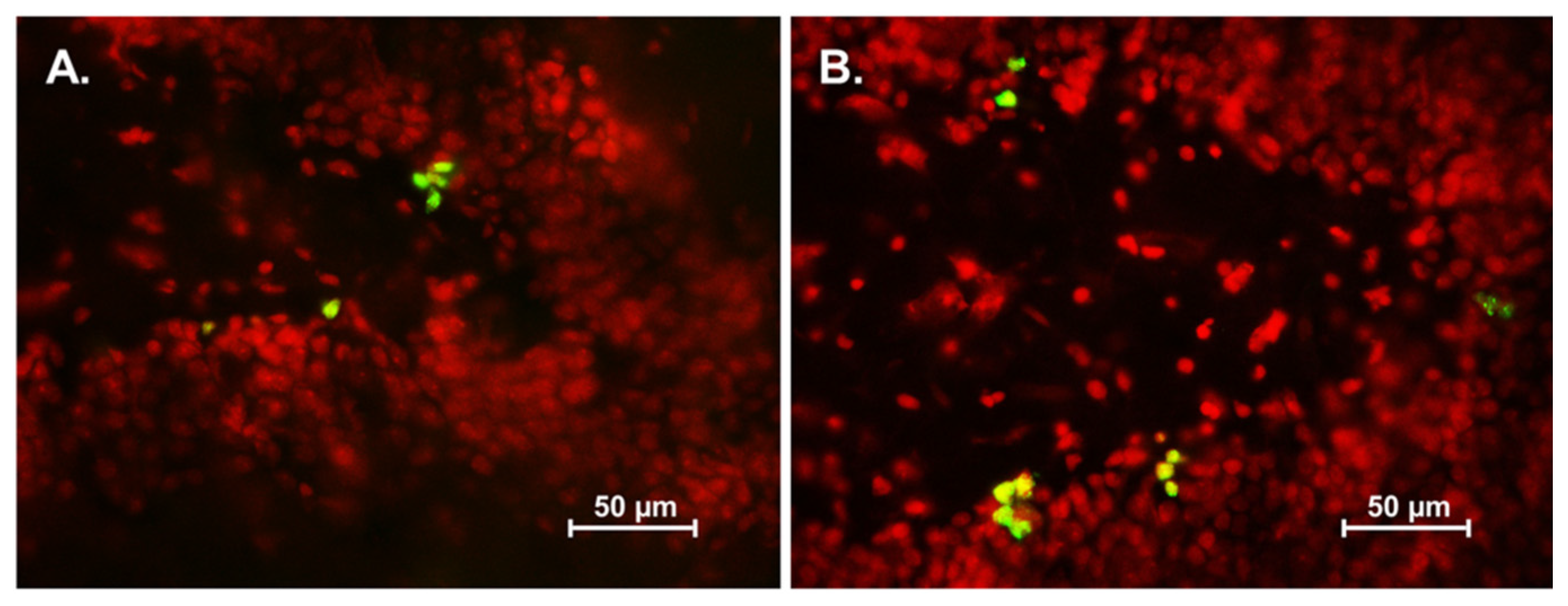 Nutrients 07 05401 g003a
