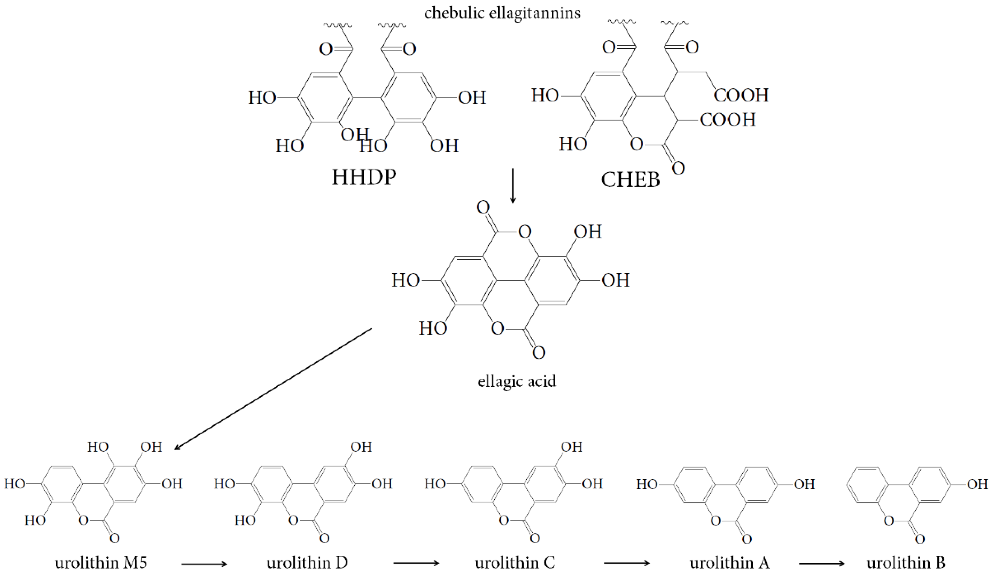 Nutrients 07 05406 g010
