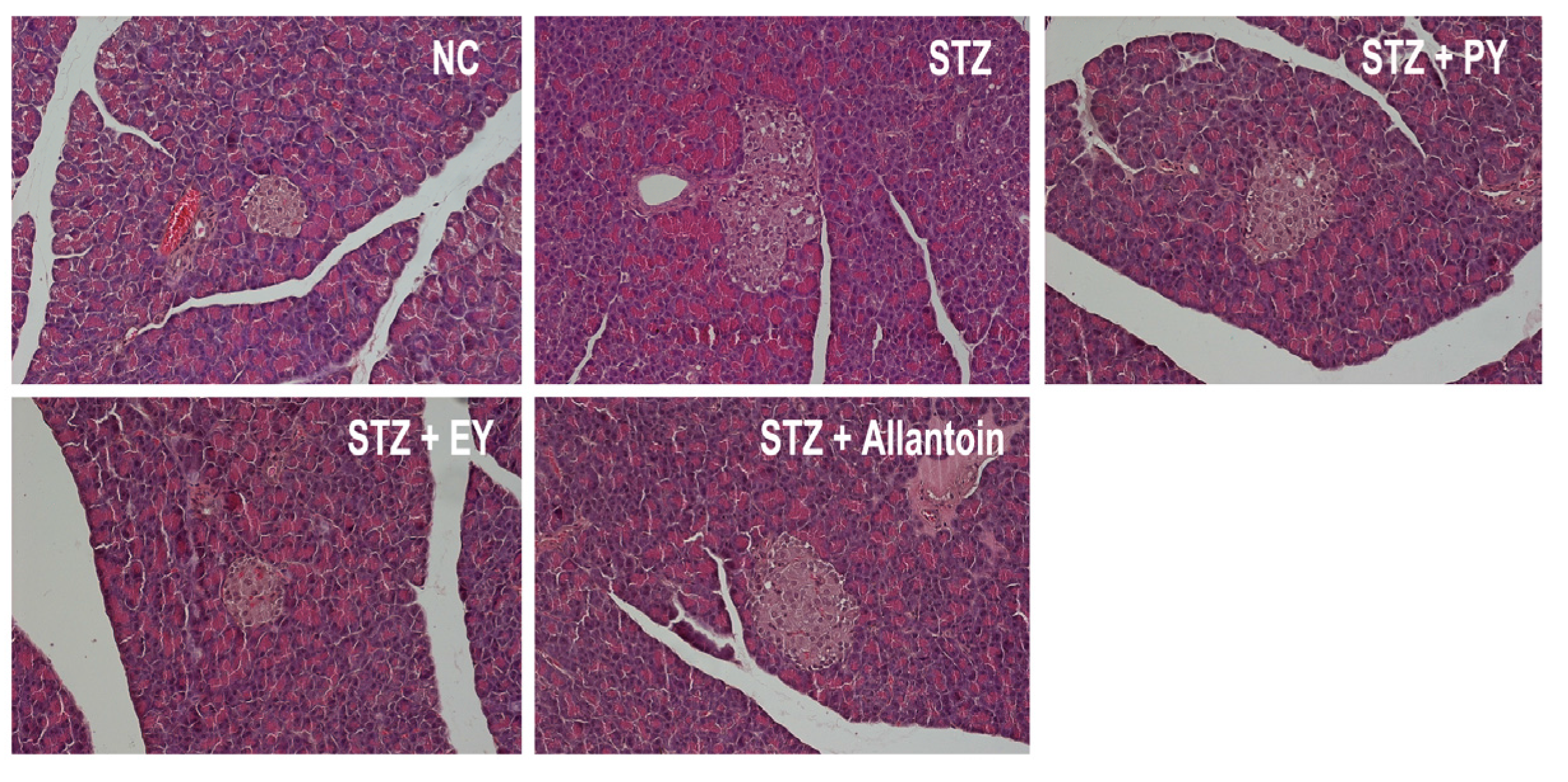 Nutrients 07 05411 g006