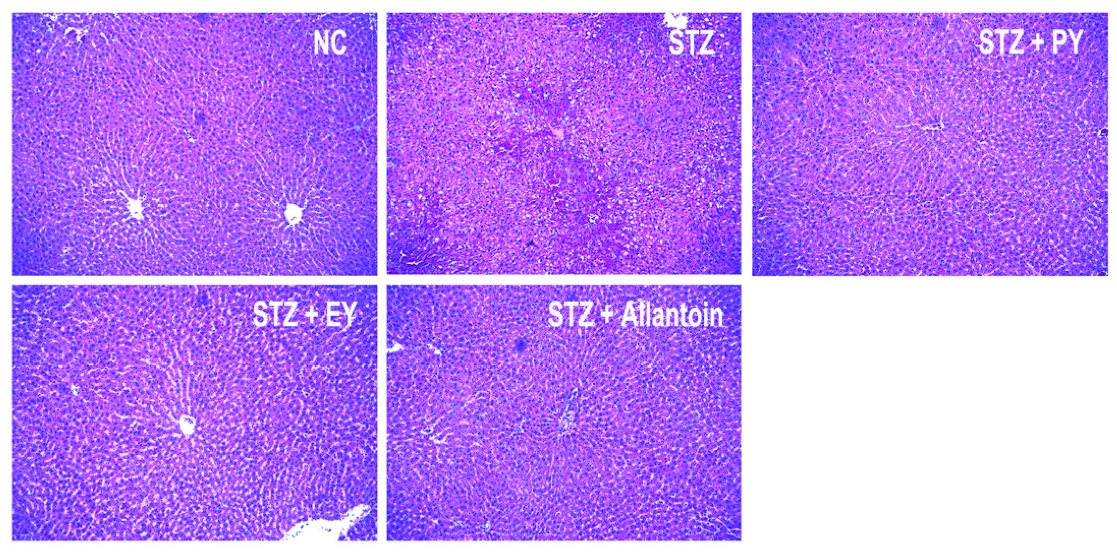 Nutrients 07 05411 g007