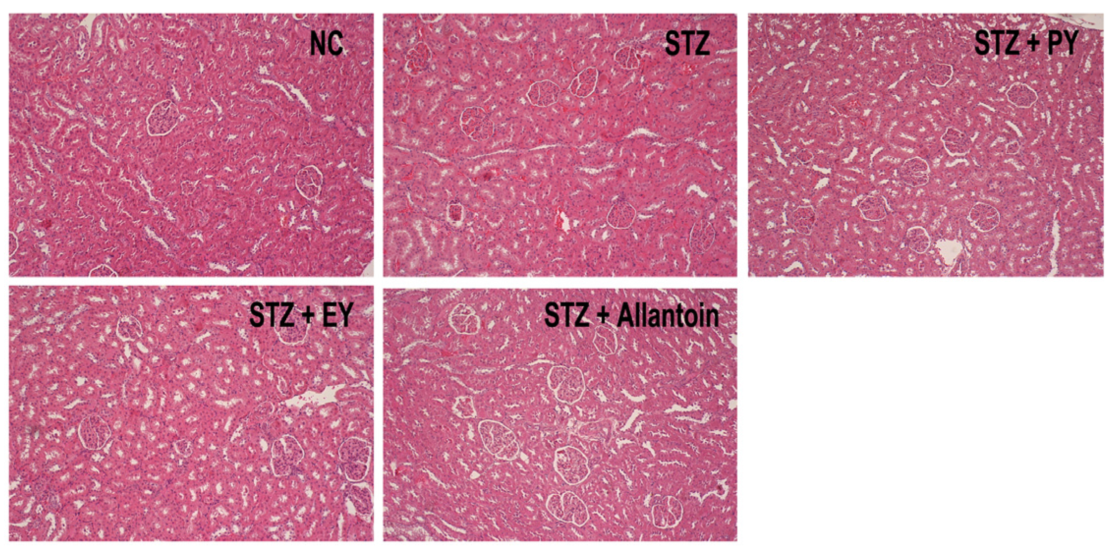 Nutrients 07 05411 g008