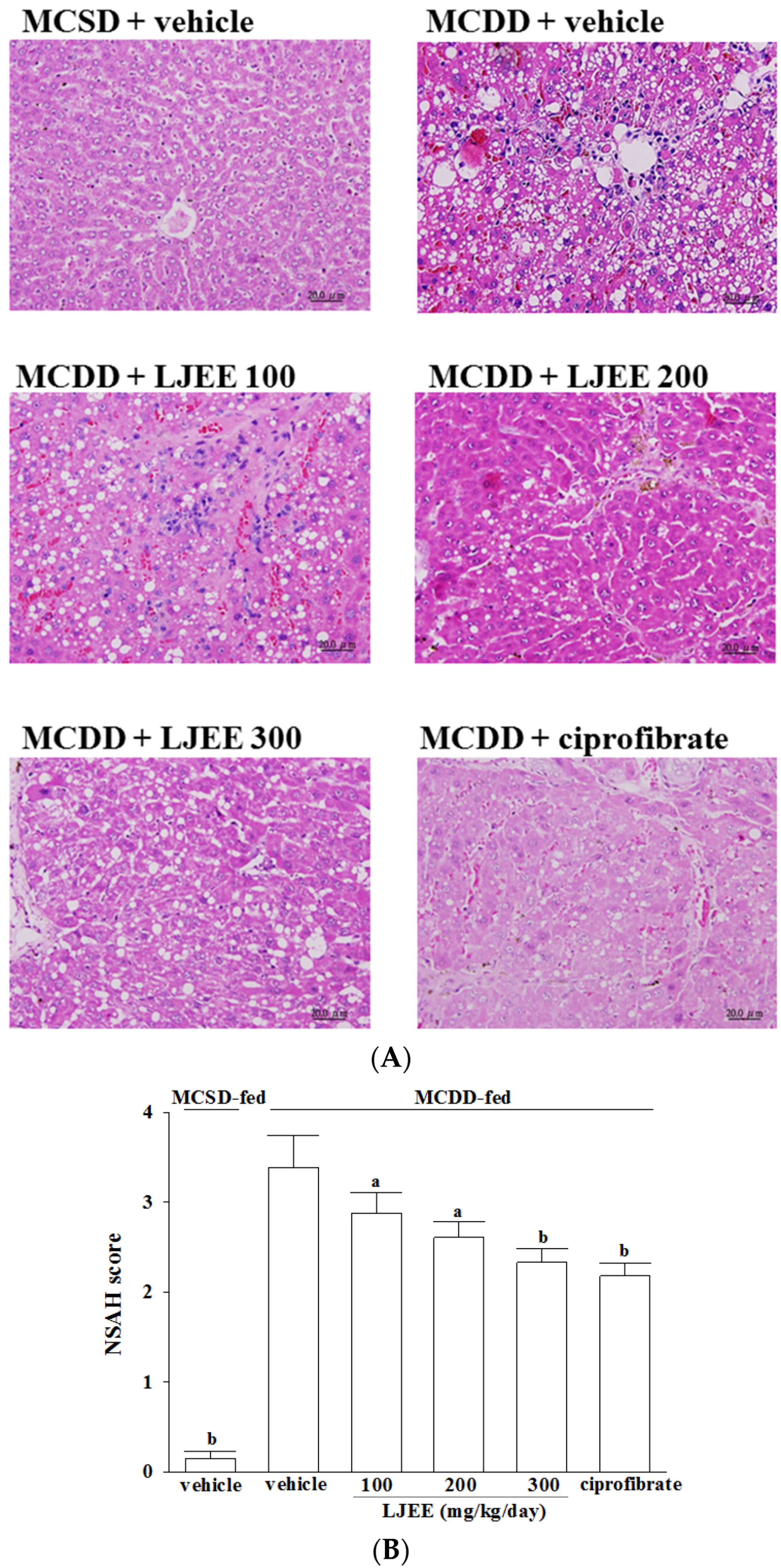 Nutrients 07 05423 g001