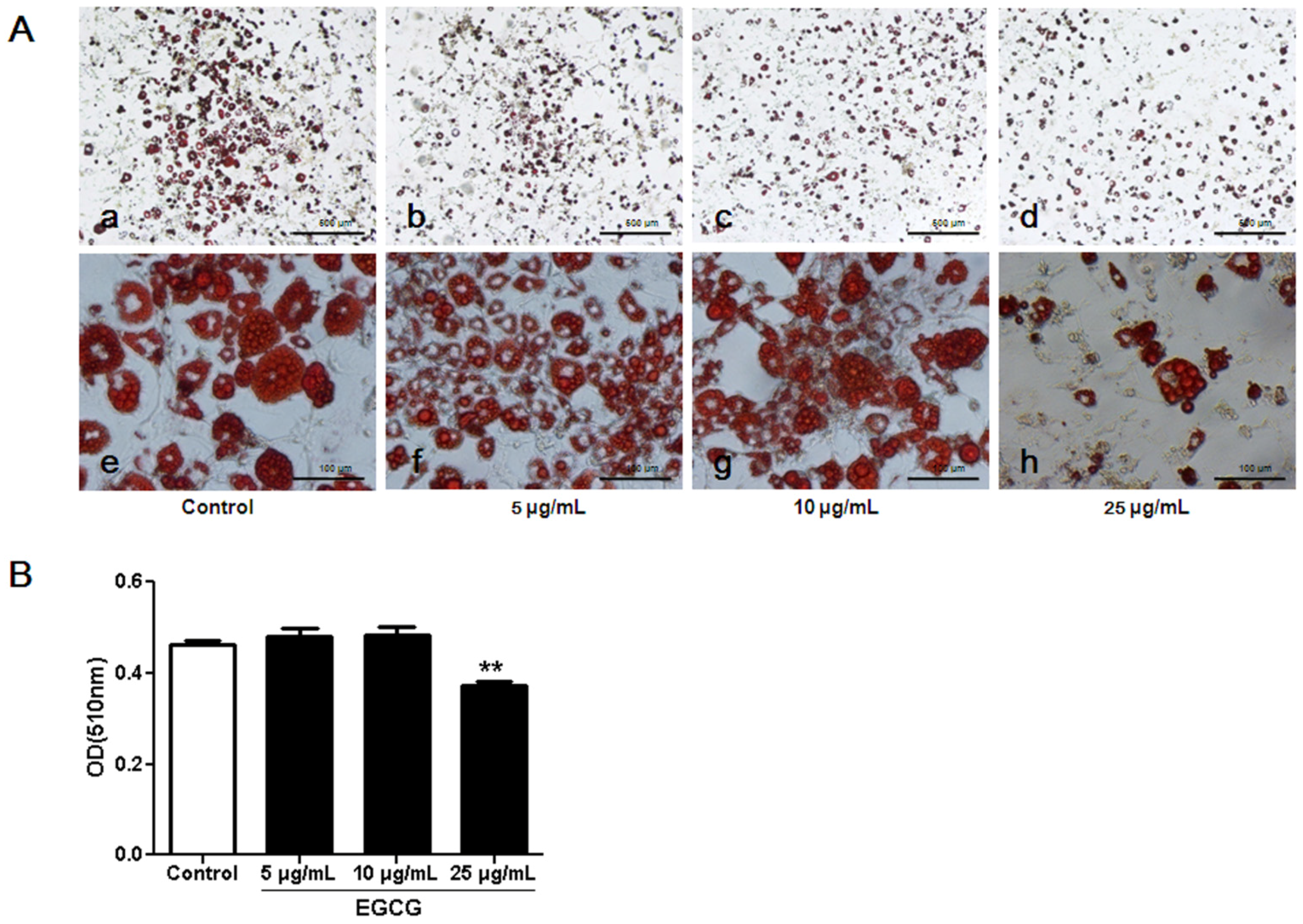 Nutrients 07 05437 g002