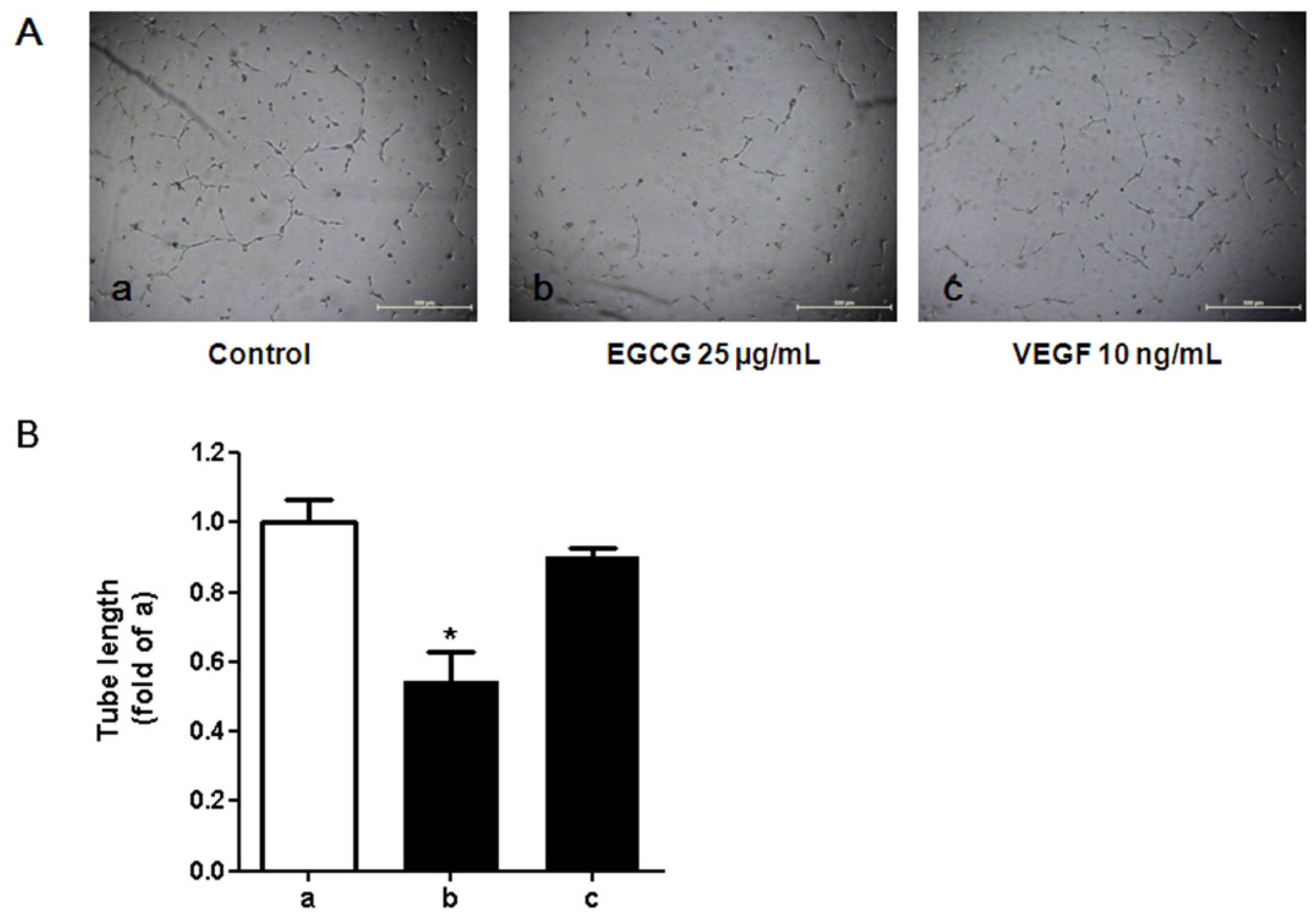 Nutrients 07 05437 g007