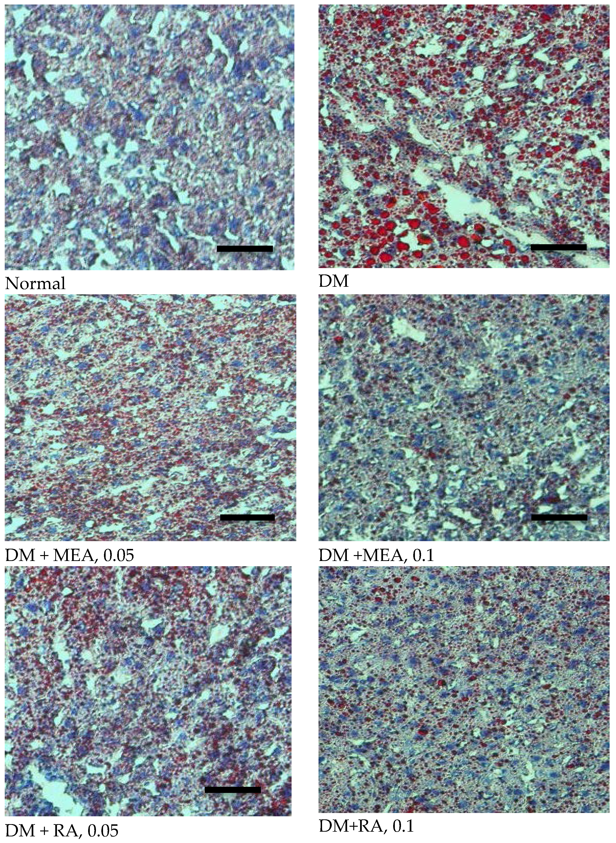 Nutrients 07 05512 g003