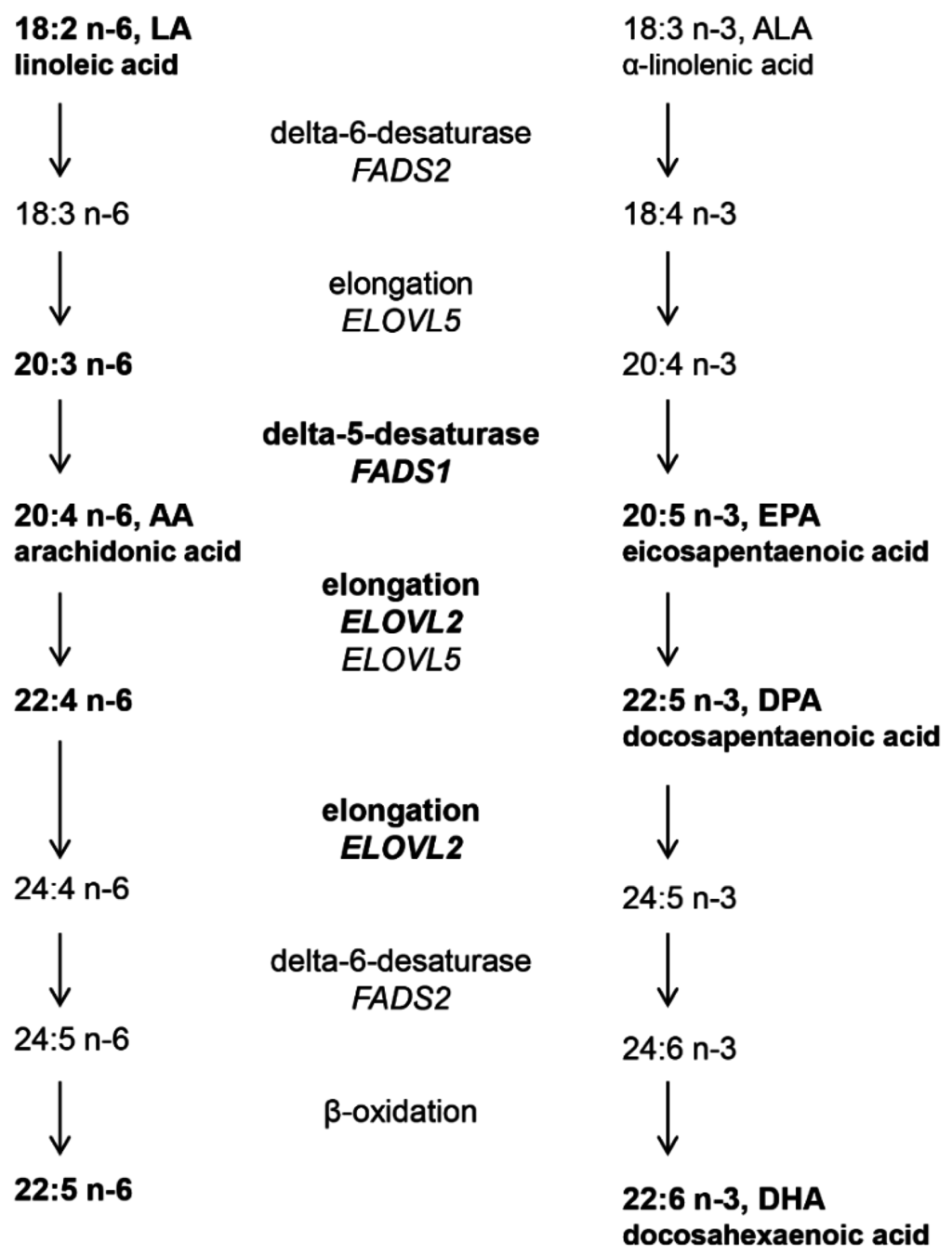 IJMS | Free Full-Text | Different Serum Free Fatty Acid 