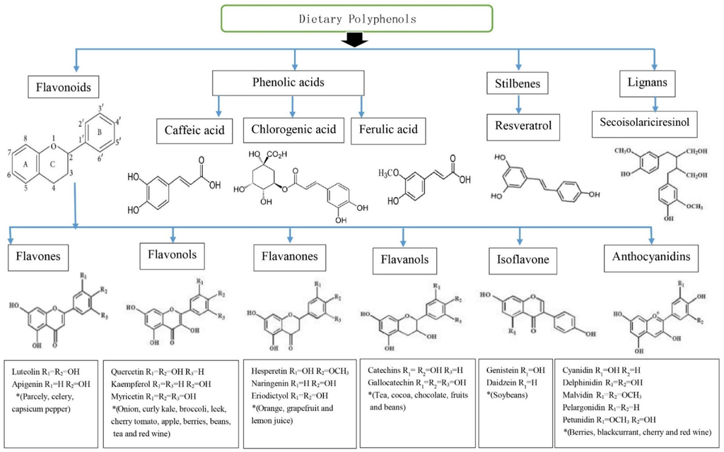 Nutrients, Free Full-Text