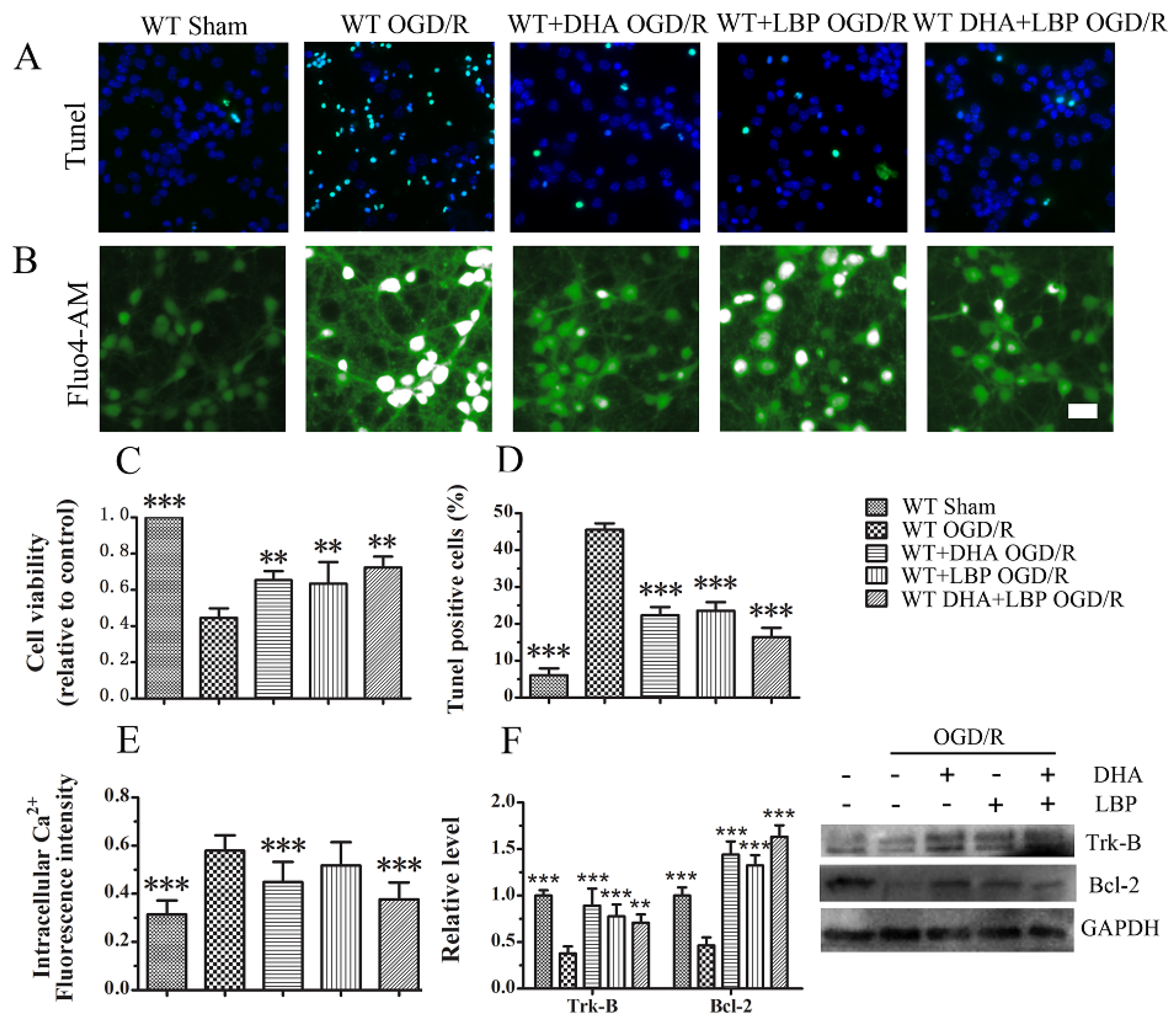 Nutrients 08 00041 g003