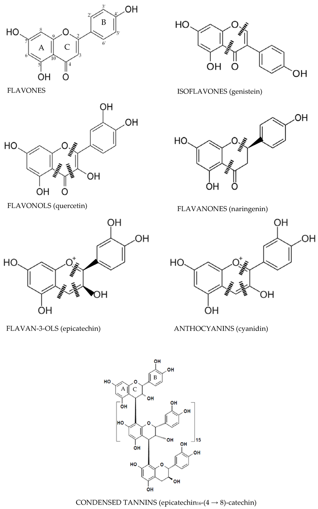 Nutrients 08 00078 g001 1024